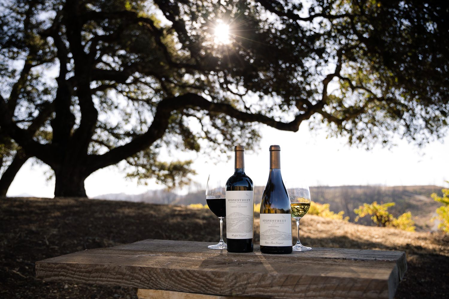 Wine bottles and glasses arranged on outdoor table with sunlight streaming through tree branches.