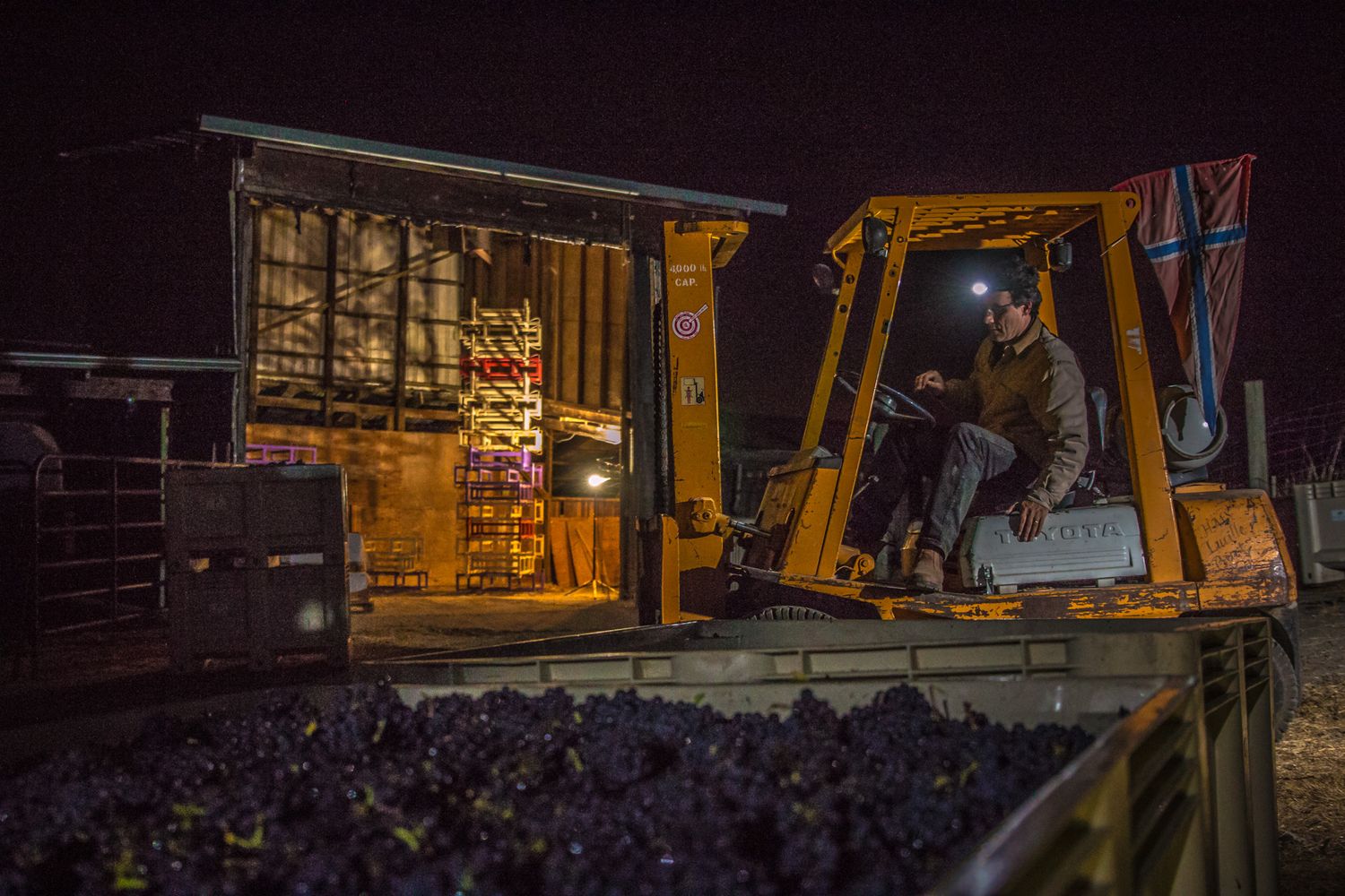 Night harvest scene with illuminated tractor and grape harvesting equipment in a vineyard.