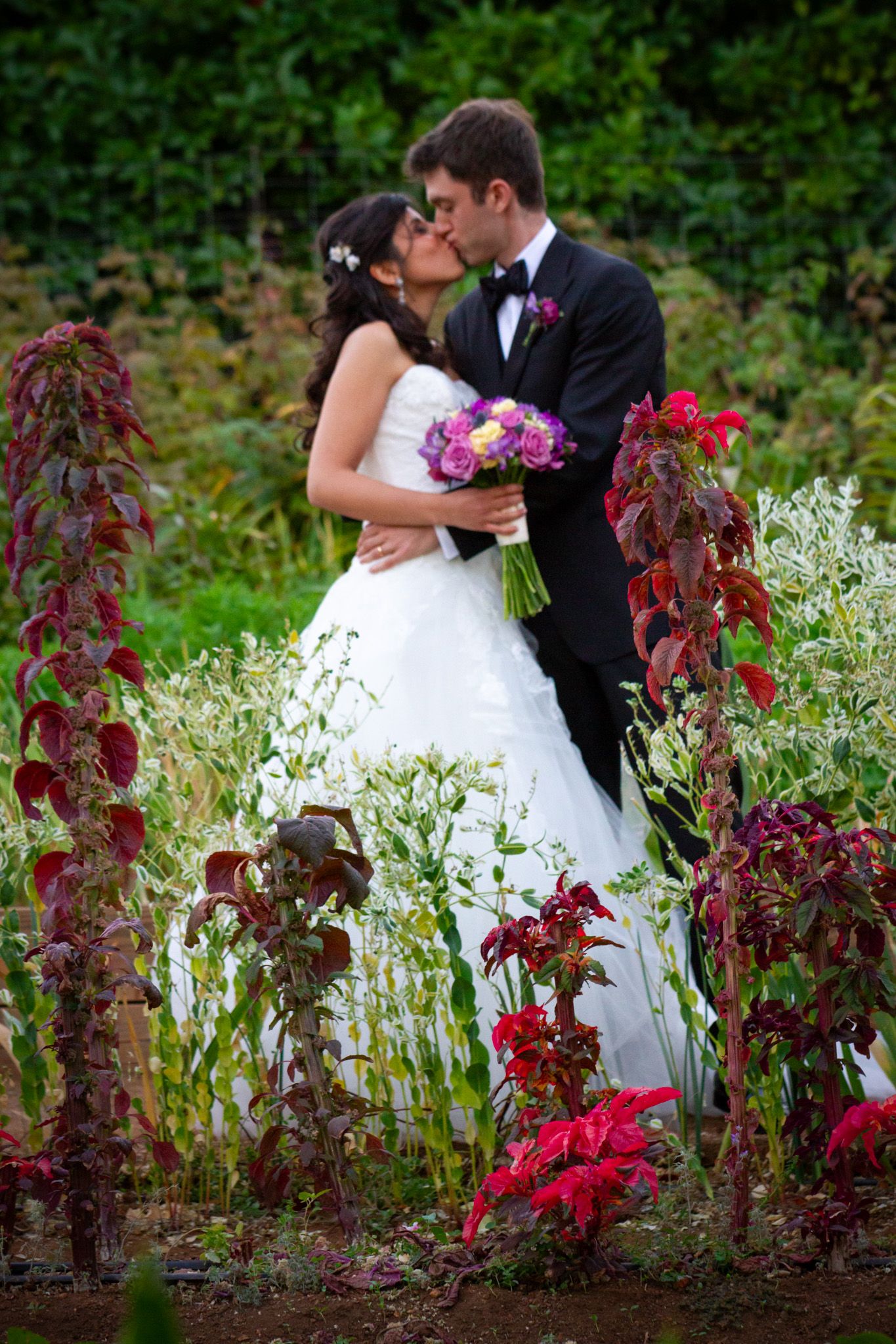 Wedding couple embracing among dramatic burgundy flowers in a romantic garden setting.