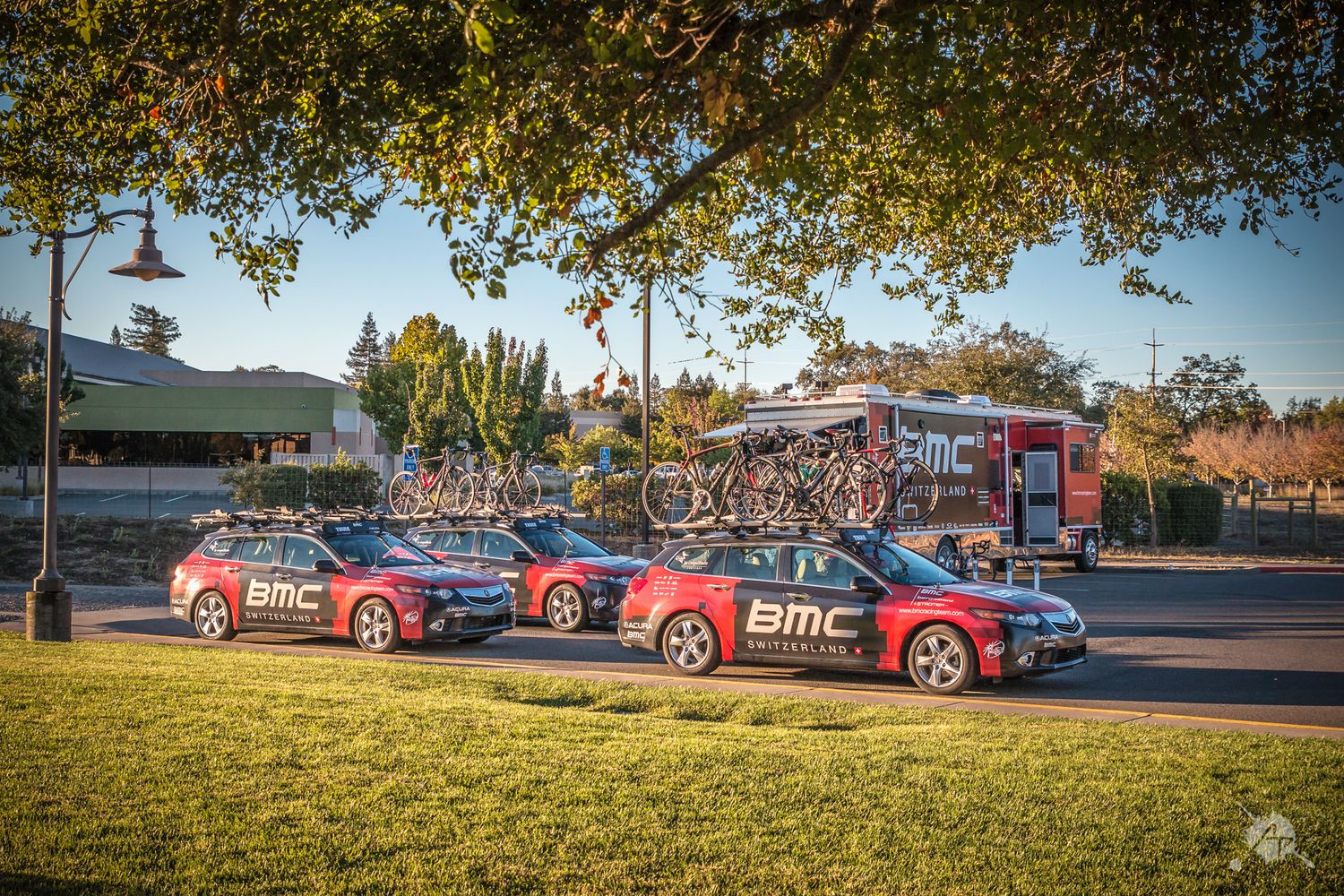Row of red BMC racing team support vehicles parked on grass under trees during a cycling event.
