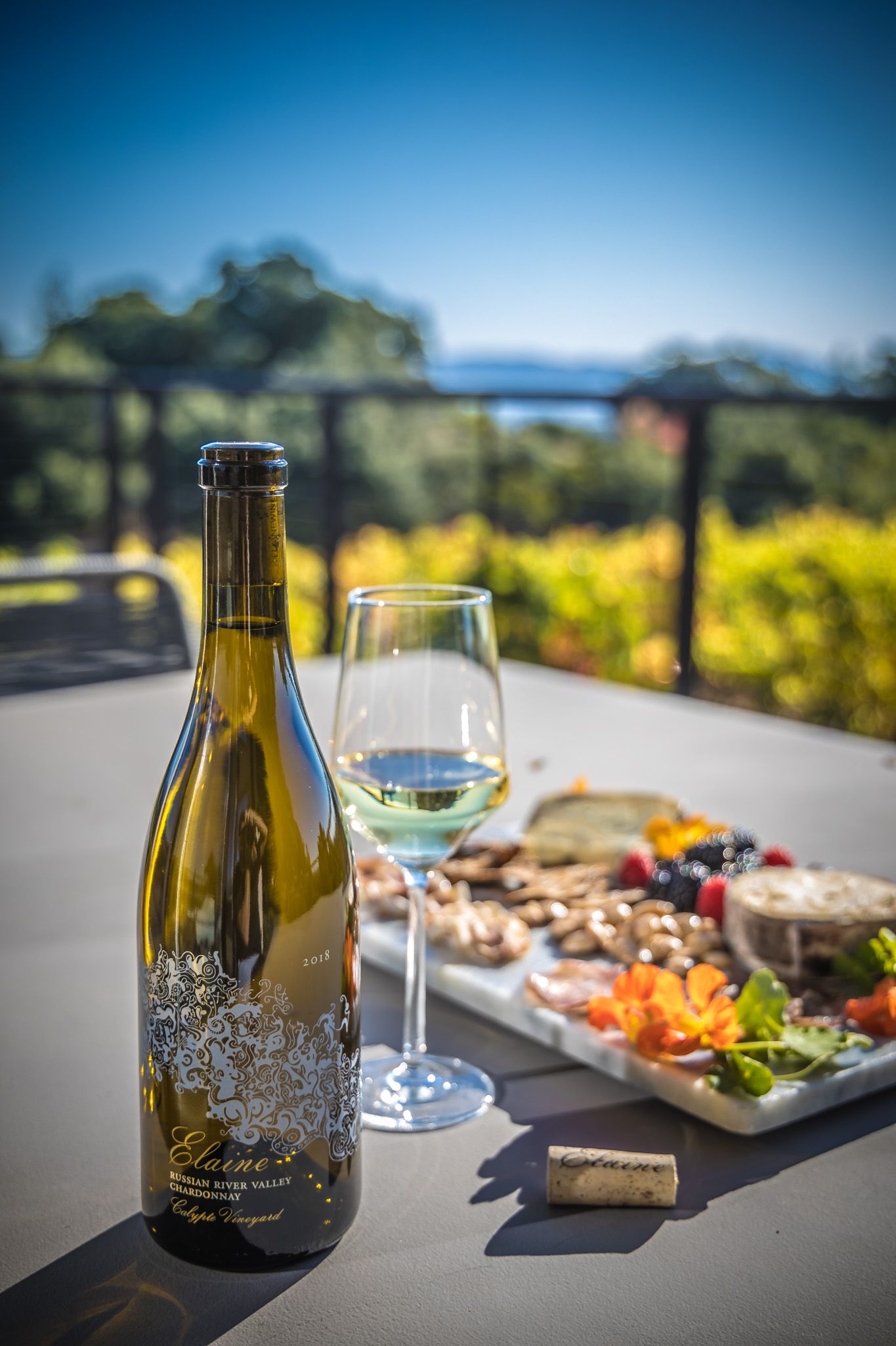 Wine bottle and tasting plate on outdoor patio with vineyard vista.