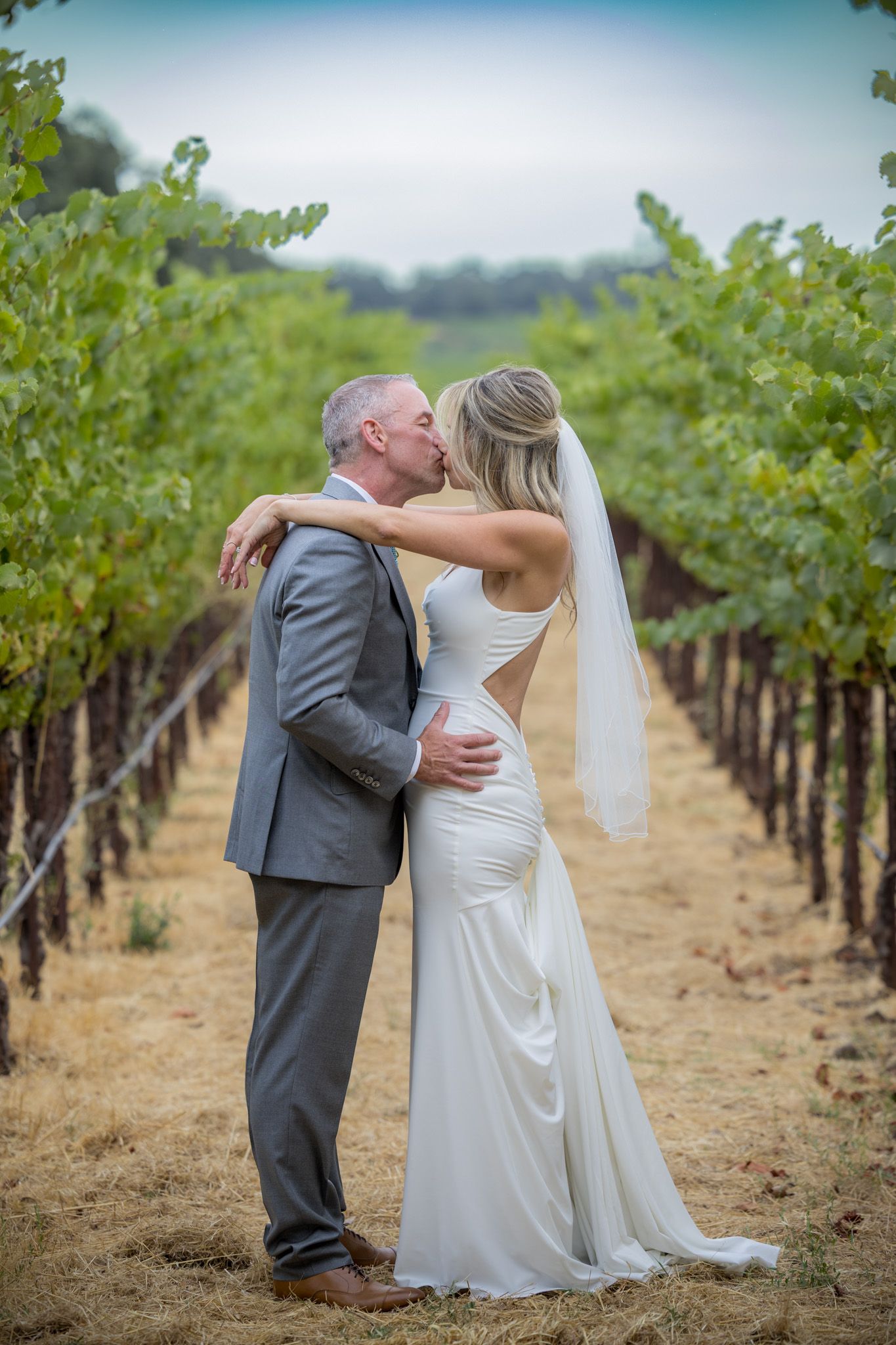 Romantic wedding couple embracing between rows of grapevines.