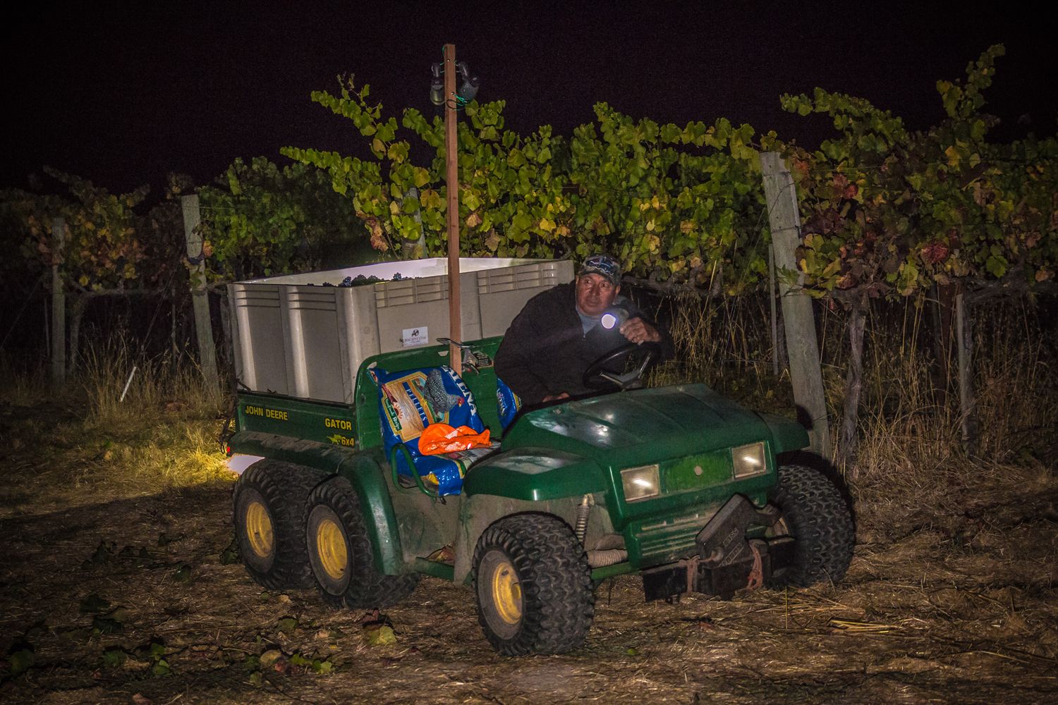Utility vehicle loaded with grape harvesting bins traversing through dark vineyard rows at night.