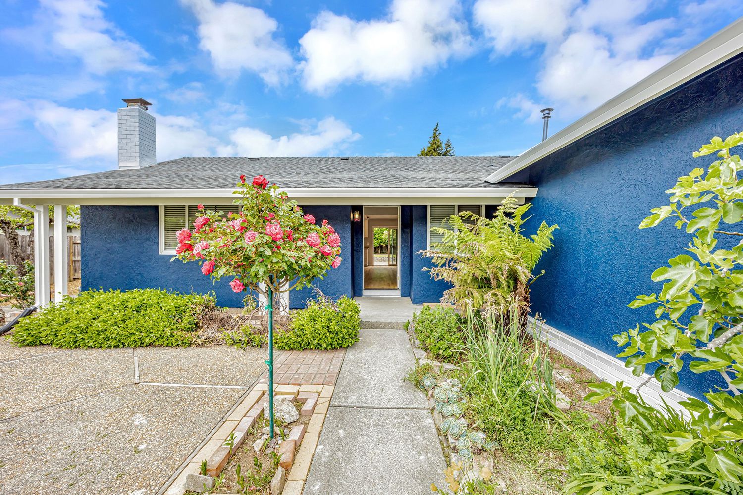 Blue residential home with red flowering bush and concrete pathway leading to front entrance.