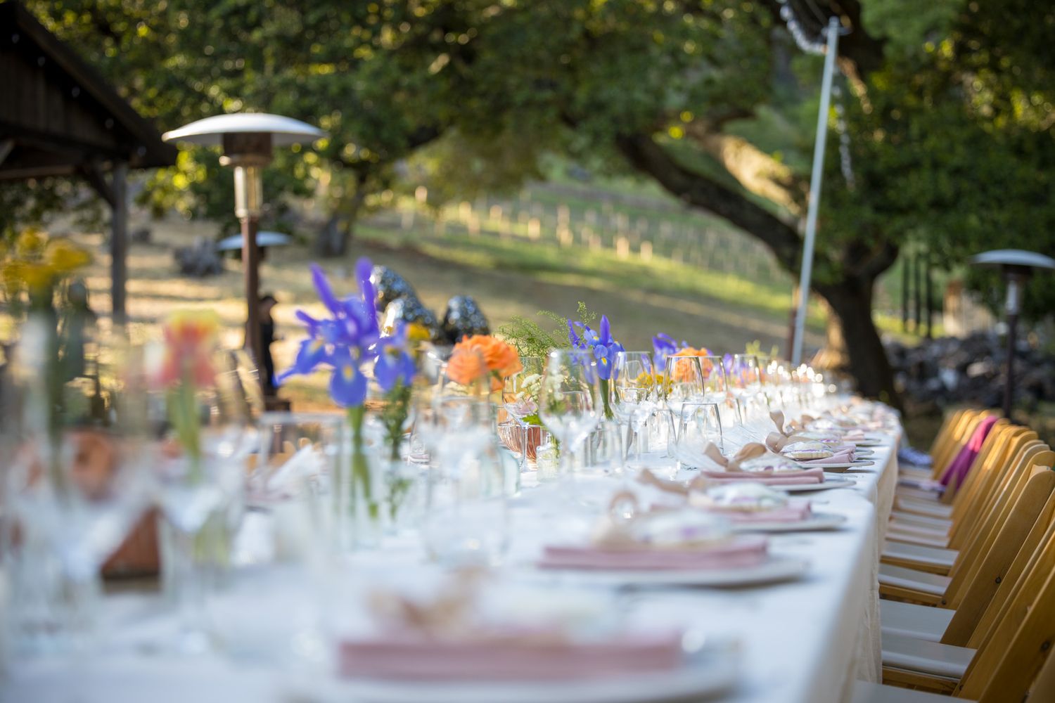 Long dining table set for an outdoor event with purple iris flowers and glassware.