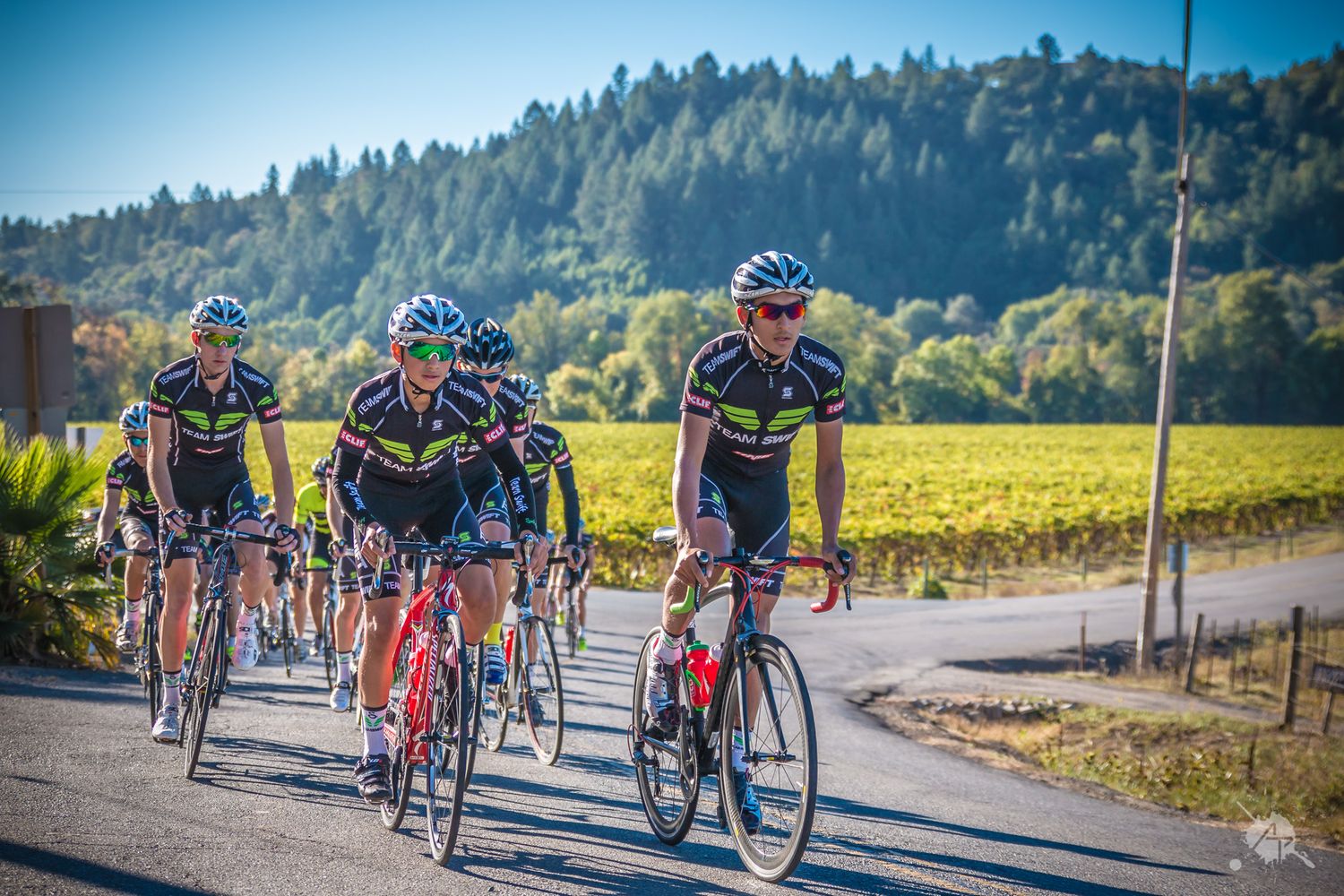 Cyclists in colorful gear riding racing bikes on a scenic rural road with forested hills in the background.