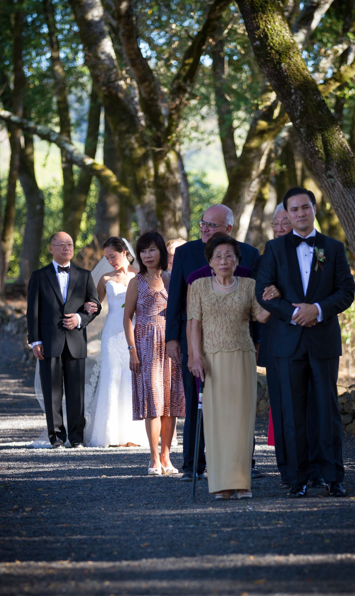 Wedding party processional walking in formal attire down tree-lined path.