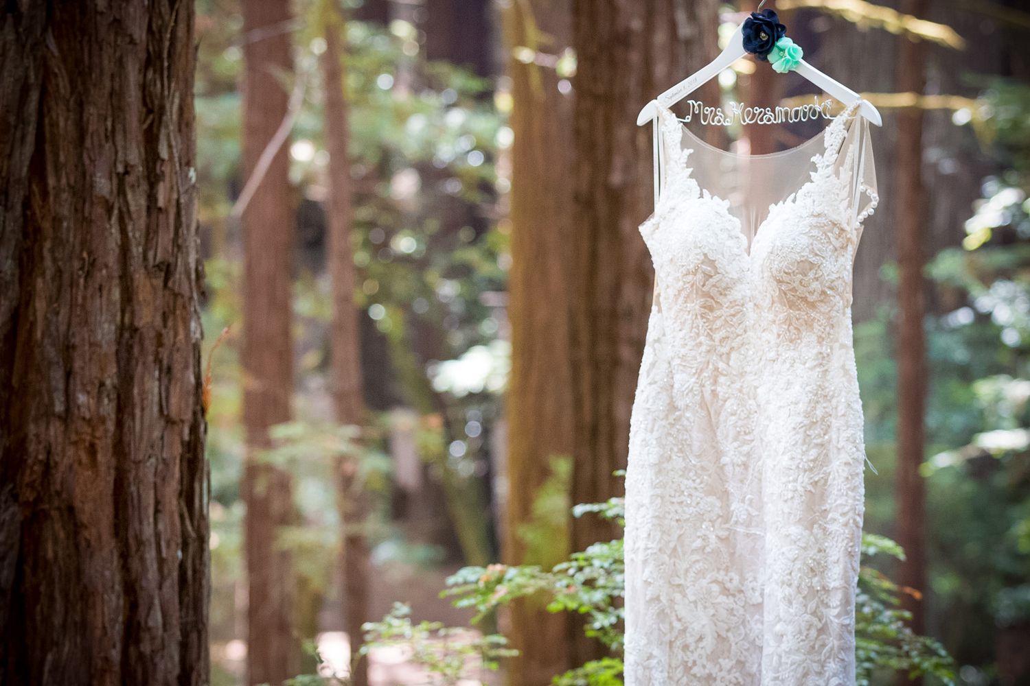 White lace wedding dress hanging on hanger in redwood forest setting.