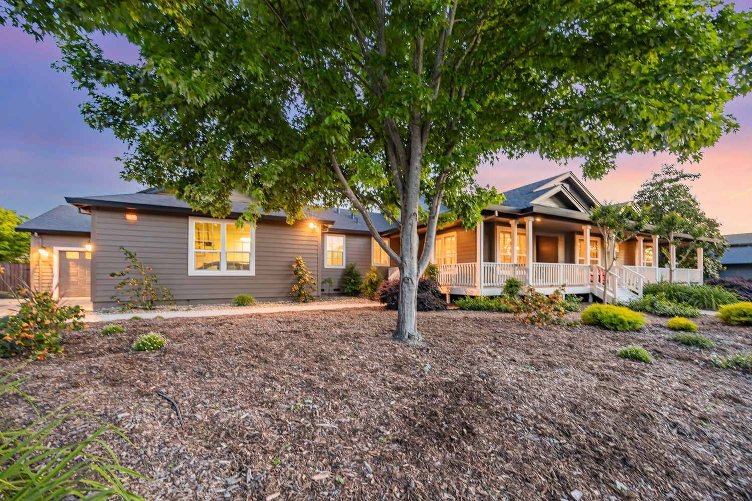 Modern ranch-style home with drought-resistant landscaping and large shade tree at dusk.