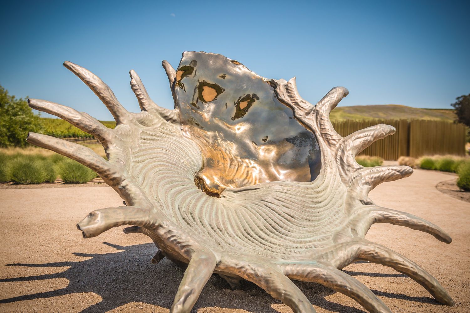 Abstract metal sculpture resembling a seashell or fossil displayed outdoors.