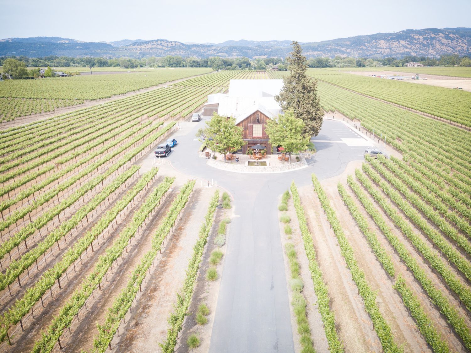Drone shot of a winery tasting room surrounded by symmetrical rows of grapevines.