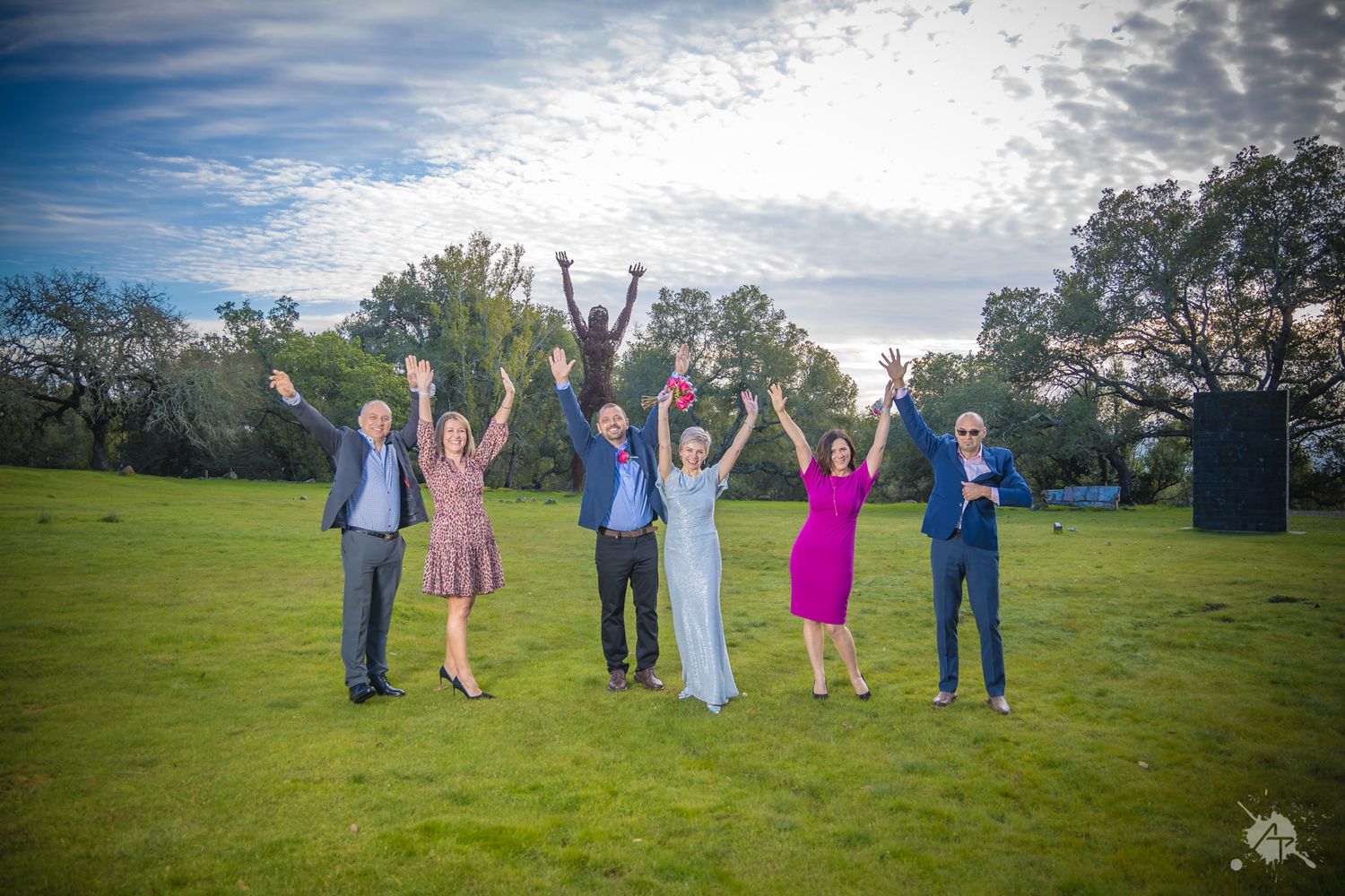 A group of people celebrate joyfully with raised arms on a lush green lawn beneath a bright cloudy sky.