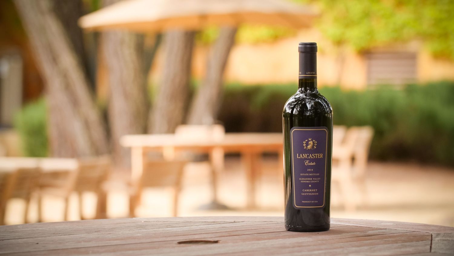 Wine bottle silhouetted against outdoor patio furniture in natural sunlight.