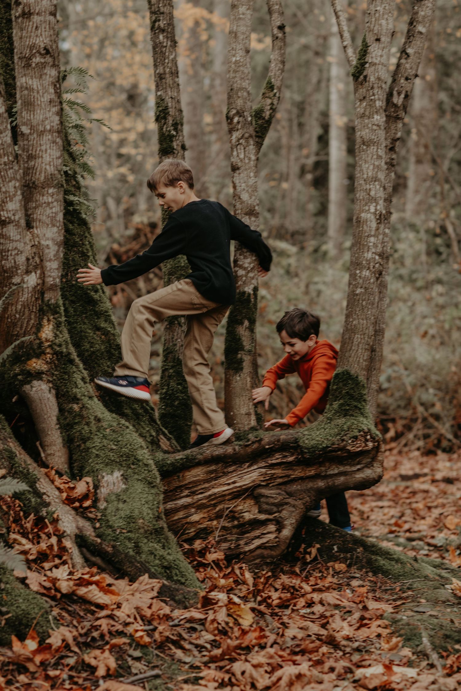 Children climbing and exploring a mossy tree trunk in a misty autumn forest covered in fallen leaves.