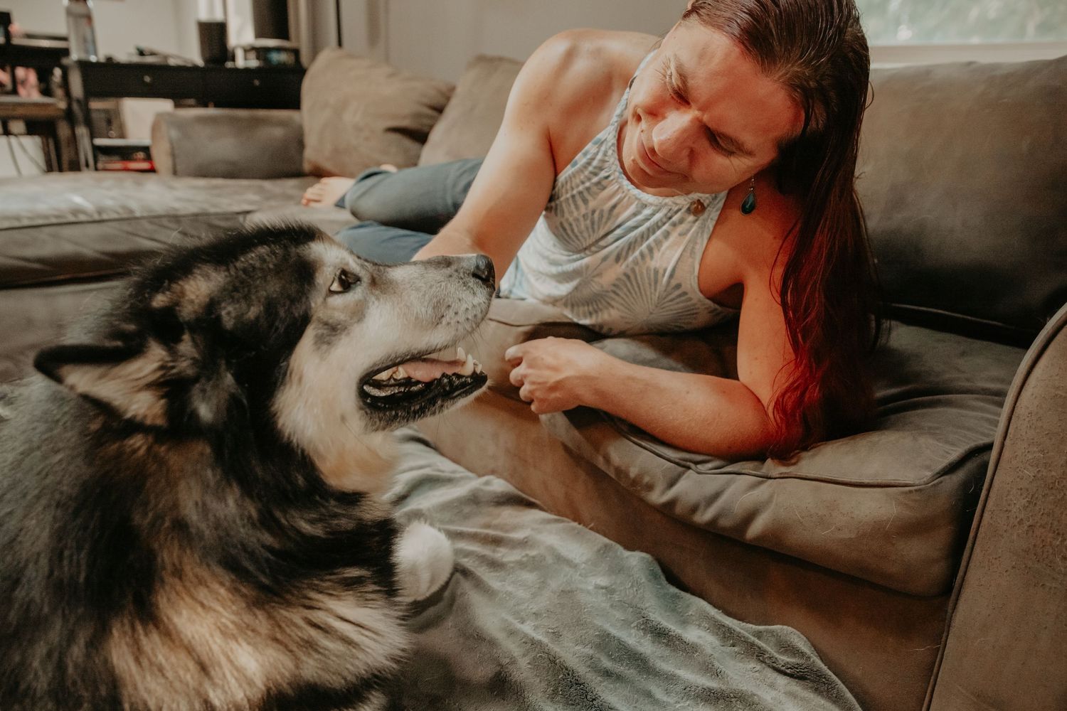 A person lounges on a gray couch while petting a large black and white husky dog in a cozy living room setting.