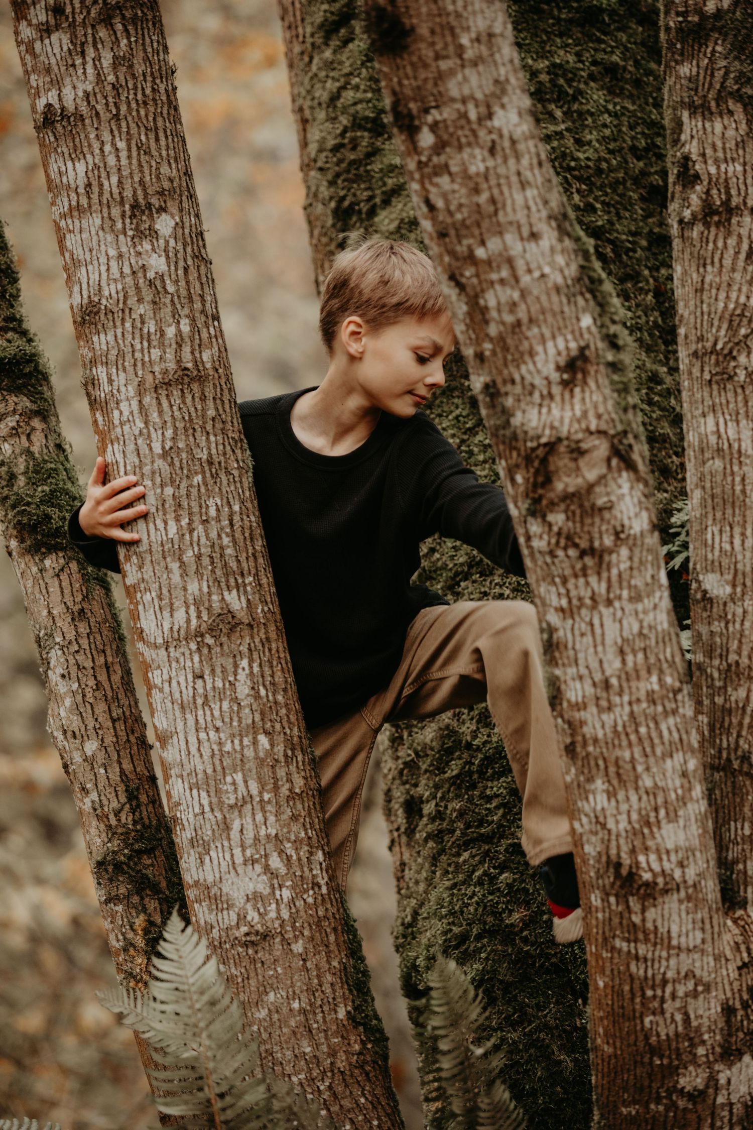 A moody artistic photograph of someone in a black sweater and khaki pants climbing between mossy tree trunks in a forest.