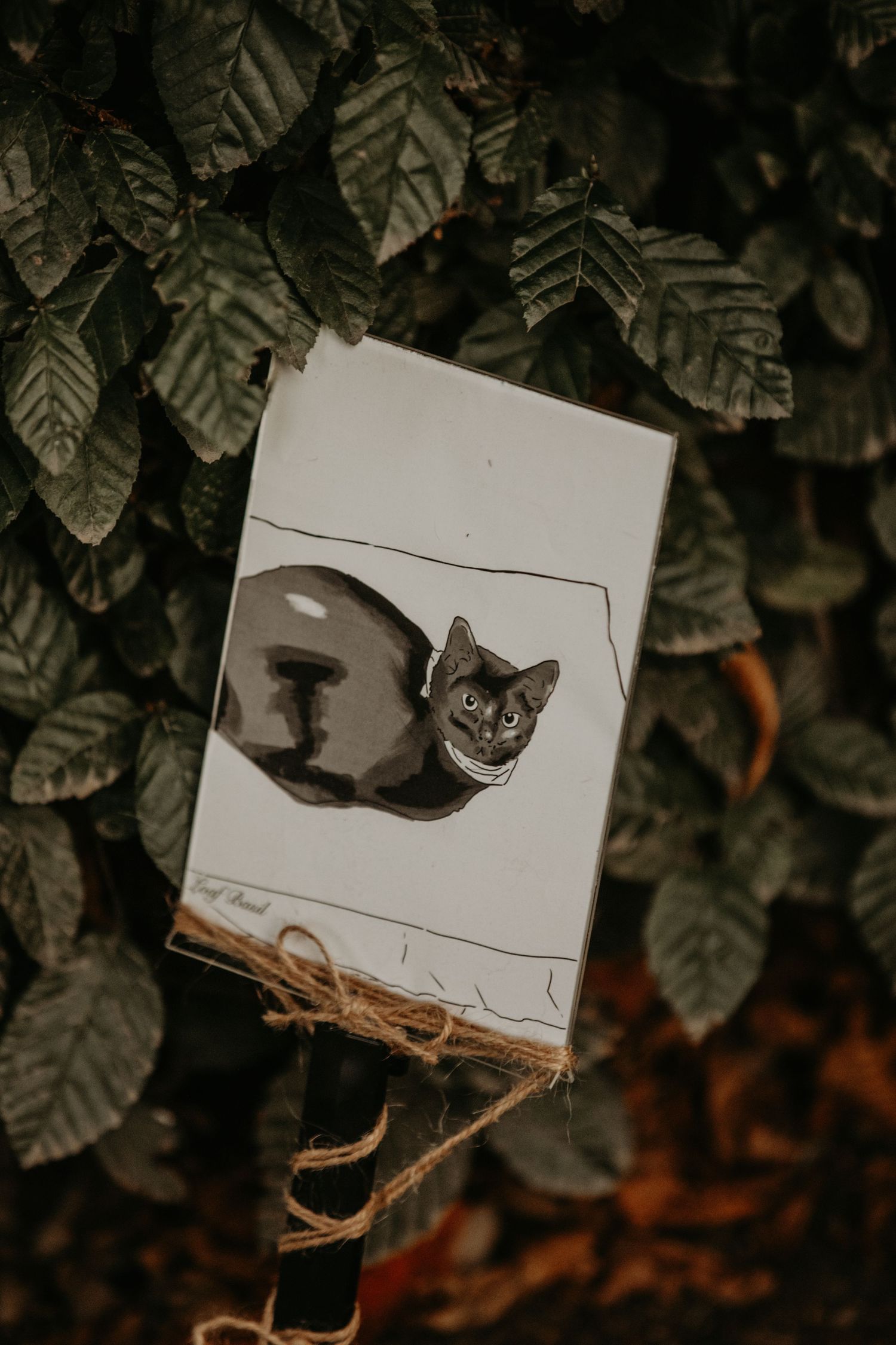 A black and white photograph of a cat displayed against green foliage background with twine.
