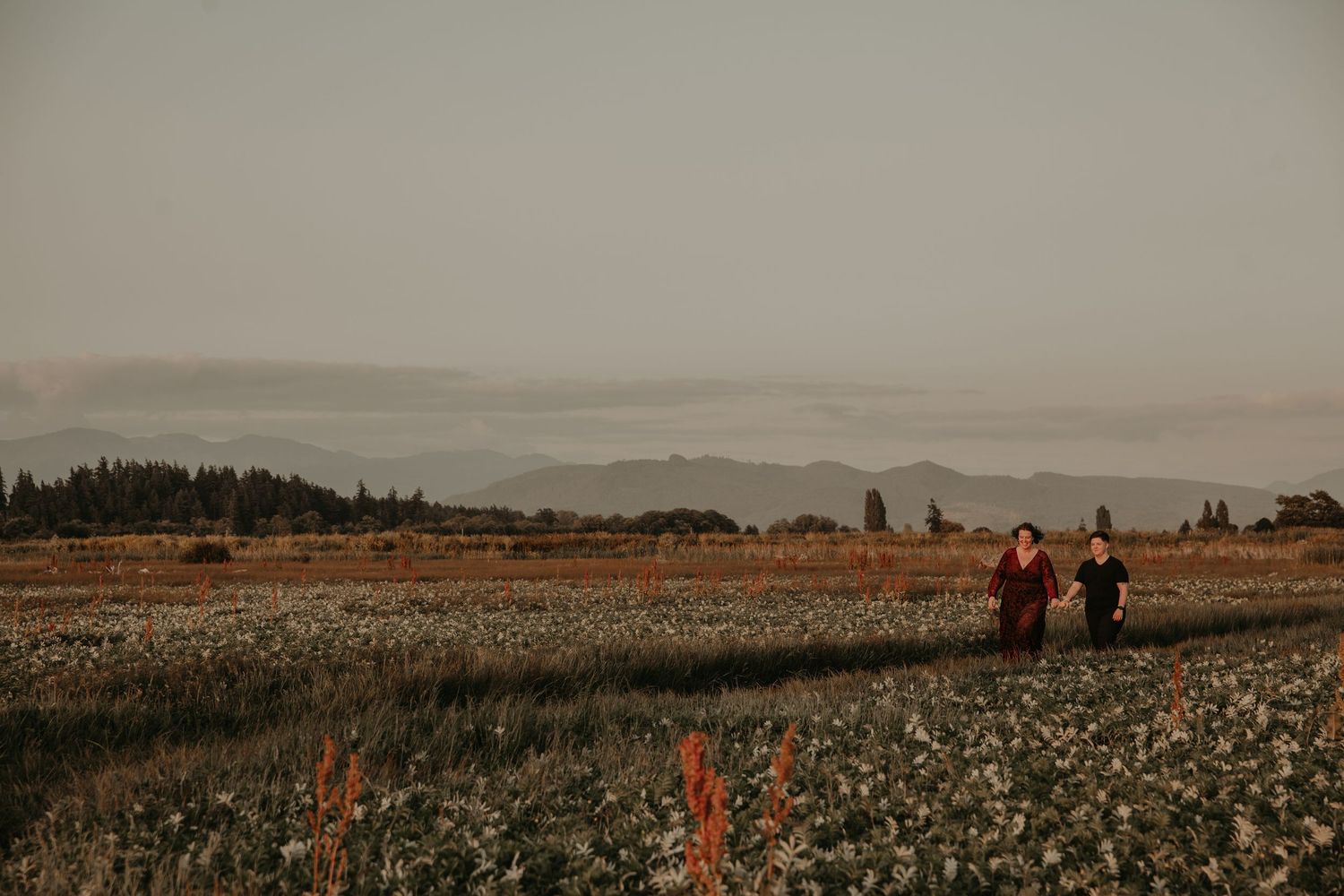 People walk through a misty meadow filled with wildflowers at sunset with mountains visible in the distance.