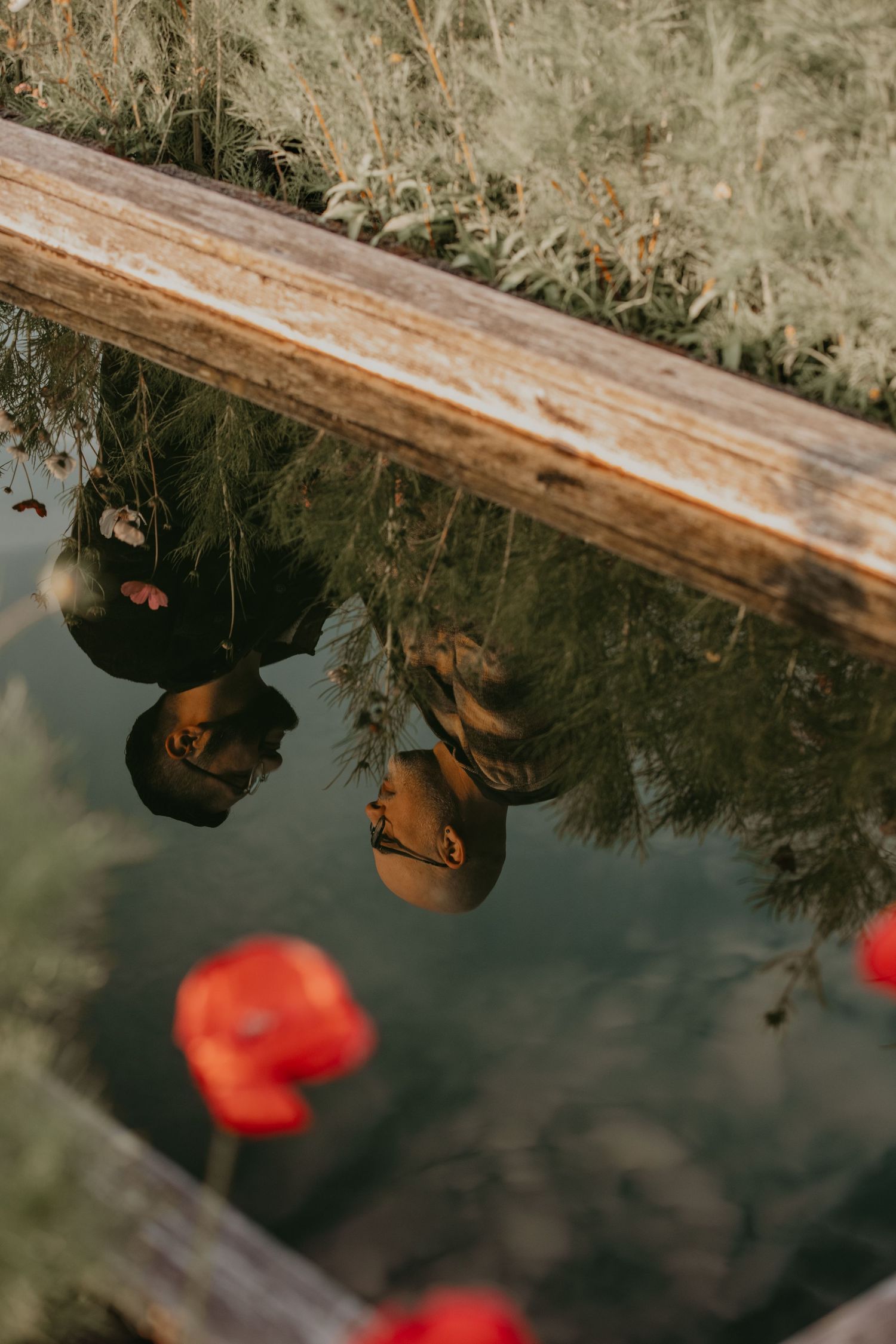 Reflections in dark water show silhouettes against a wooden railing with red flowers in the foreground.