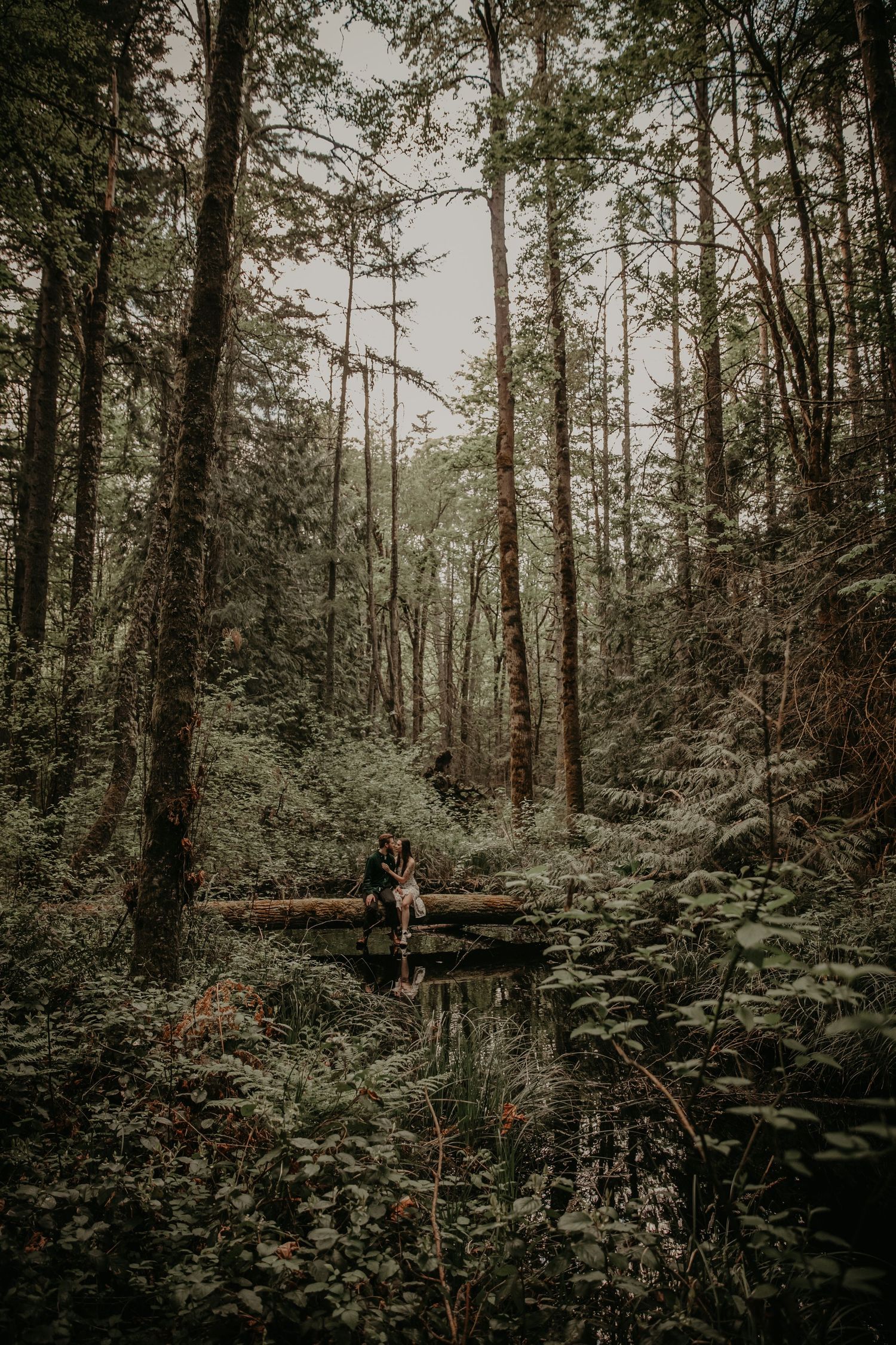 A person sits on a wooden bridge in a moody forest setting surrounded by tall evergreen trees and lush vegetation.