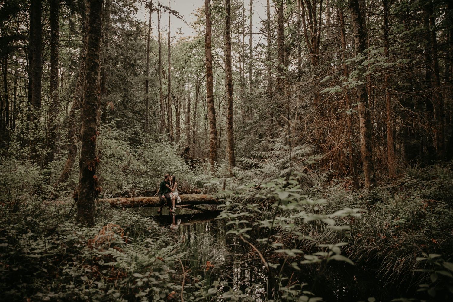 A figure stands on a wooden footbridge surrounded by lush ferns and towering evergreens in a misty forest setting.