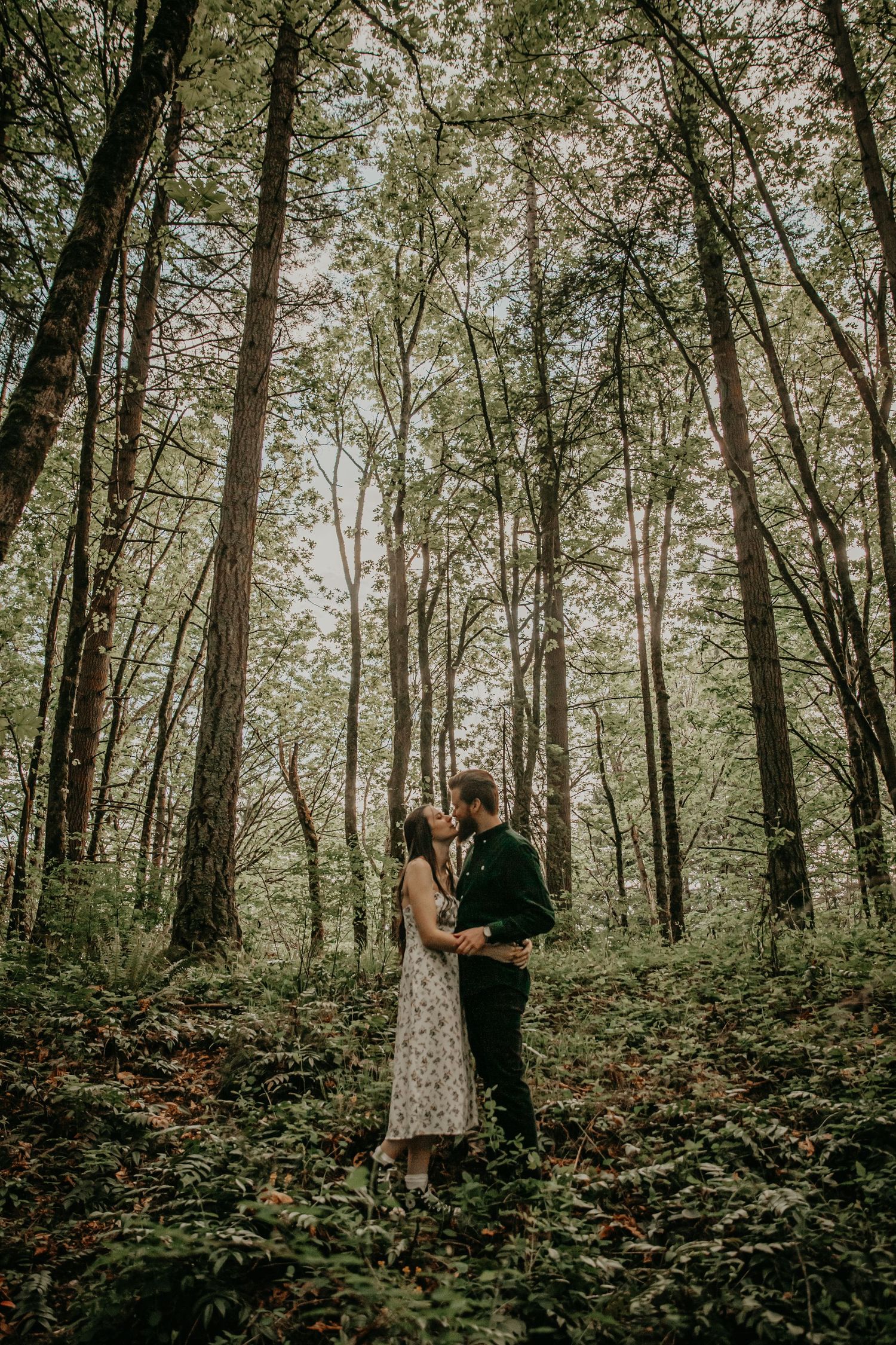 A couple embraces while standing in a misty forest with tall trees creating a romantic woodland atmosphere.