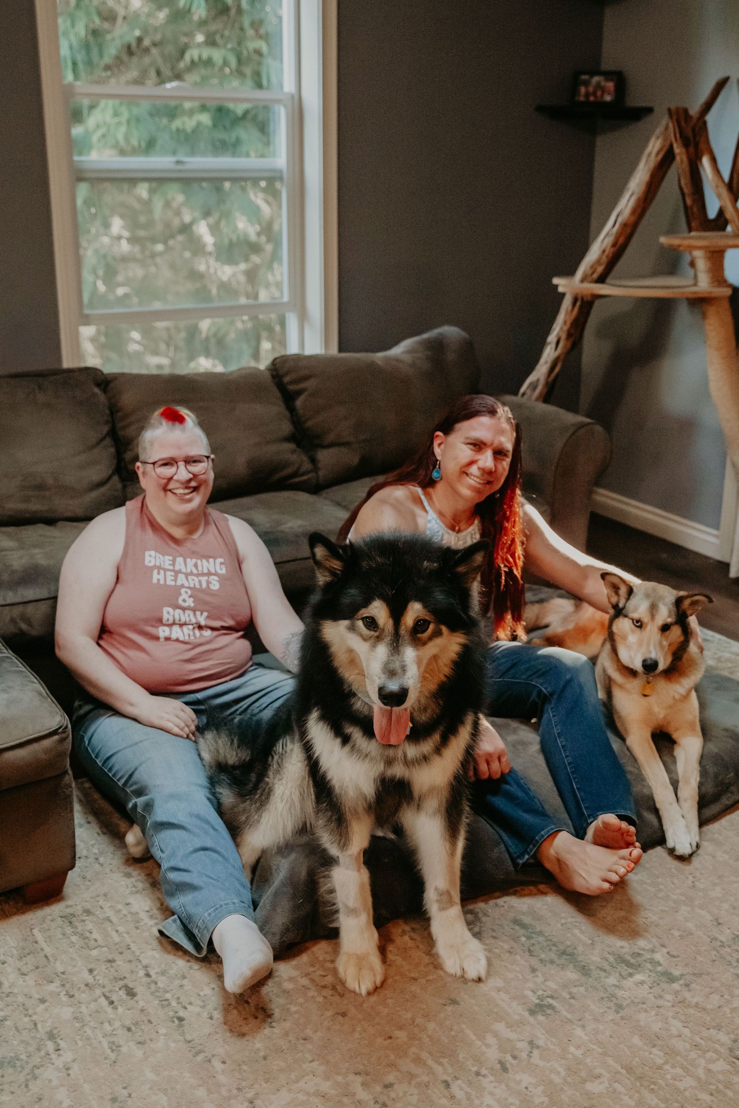 Two dogs and their owners relaxing together on a brown couch in a sunlit living room with gray walls.