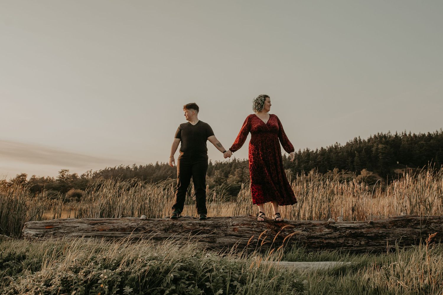 Two figures hold hands while standing on a rocky outcrop with tall grasses and forest in the background at sunset.