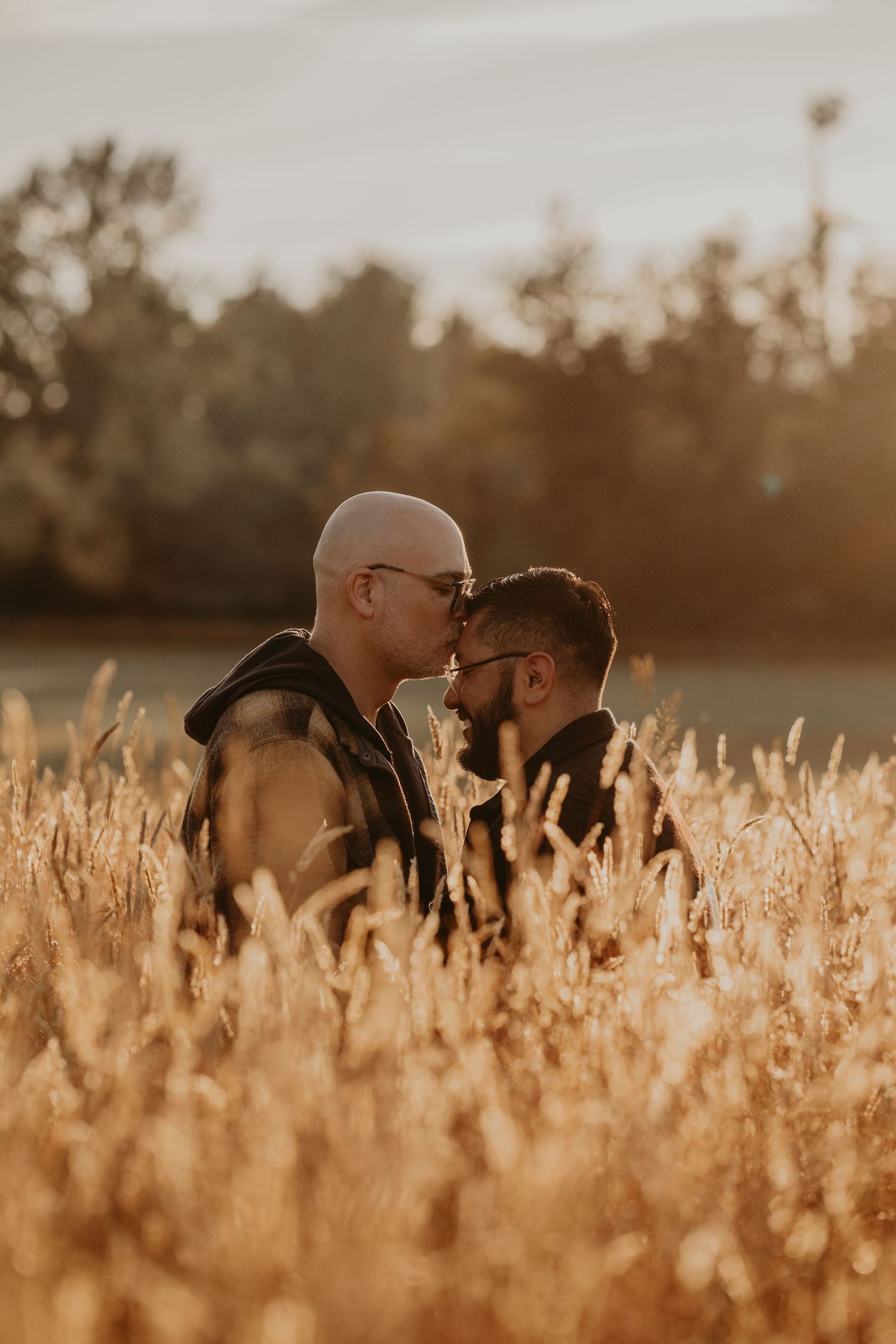 A romantic couple shares an intimate moment in a golden wheat field at sunset.
