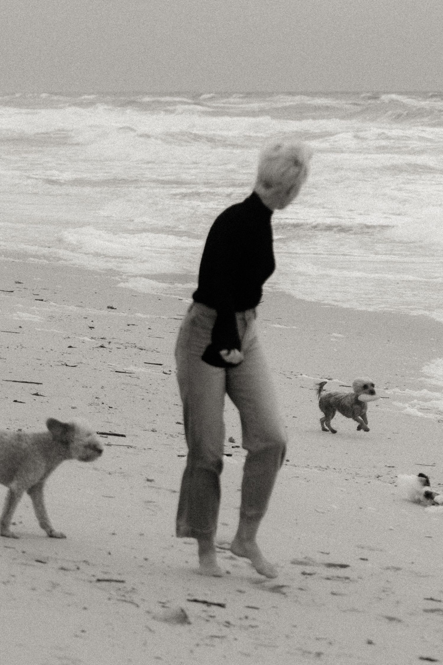 A person in a black top and pants walks along a beach with small dogs as waves roll in the background.