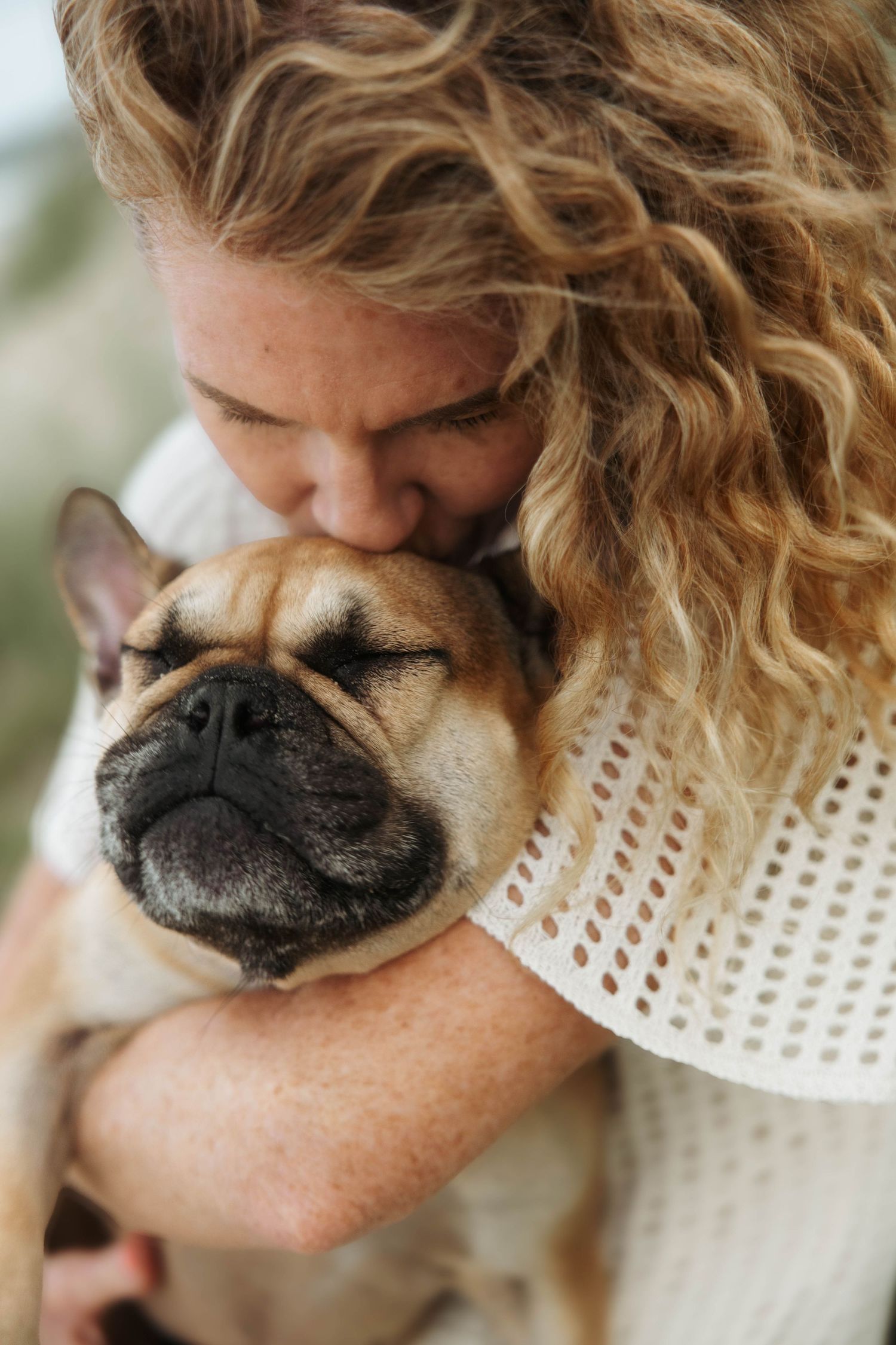 A French Bulldog with a wrinkled face receives a loving cuddle while wearing a cozy white sweater.