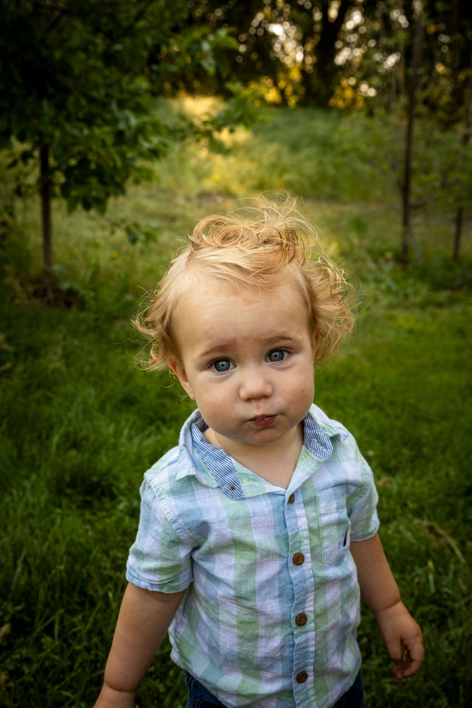 Small child wearing plaid button-down shirt poses outdoors in a green garden setting during golden hour.