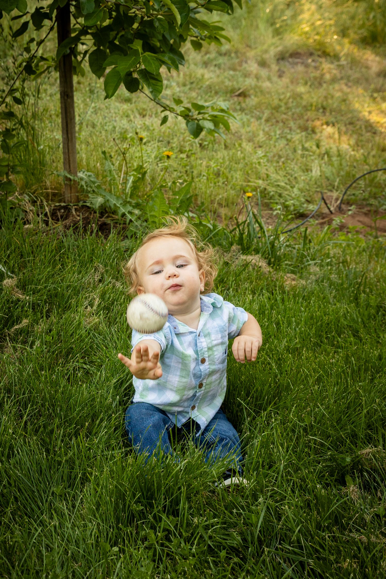 A toddler in blue plaid sits in lush green grass holding a toy while playing outdoors in summer.