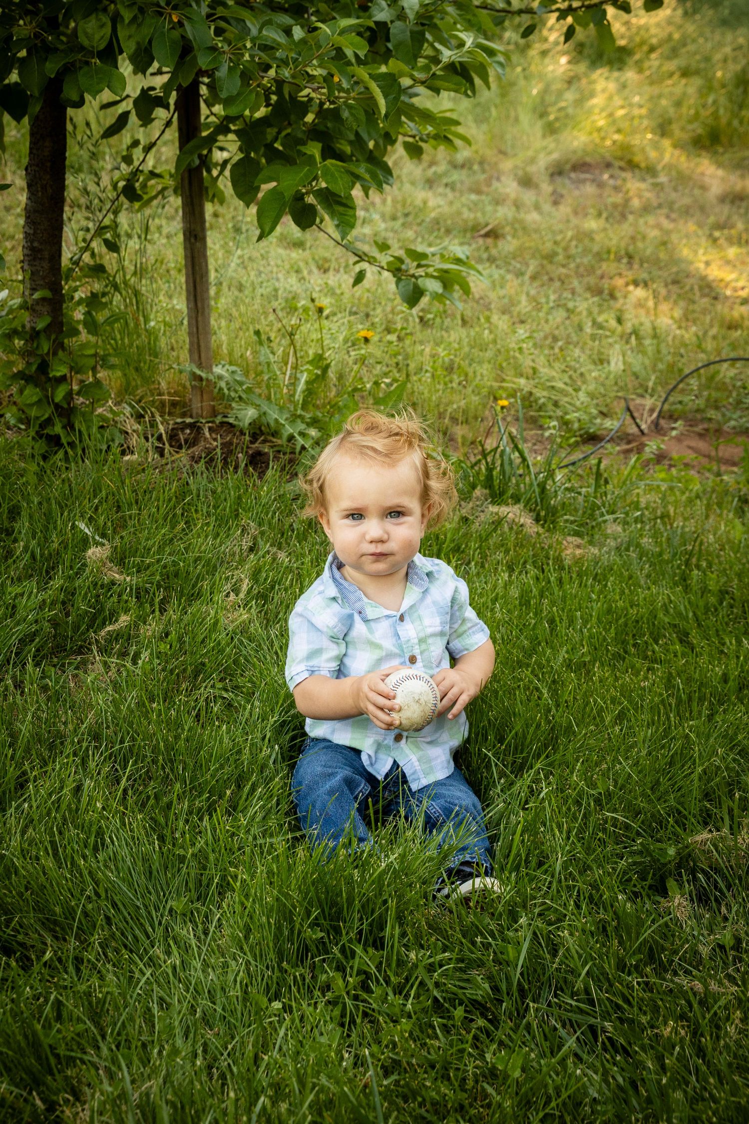 A small child sits in lush green grass beneath a tree on a sunny summer day.