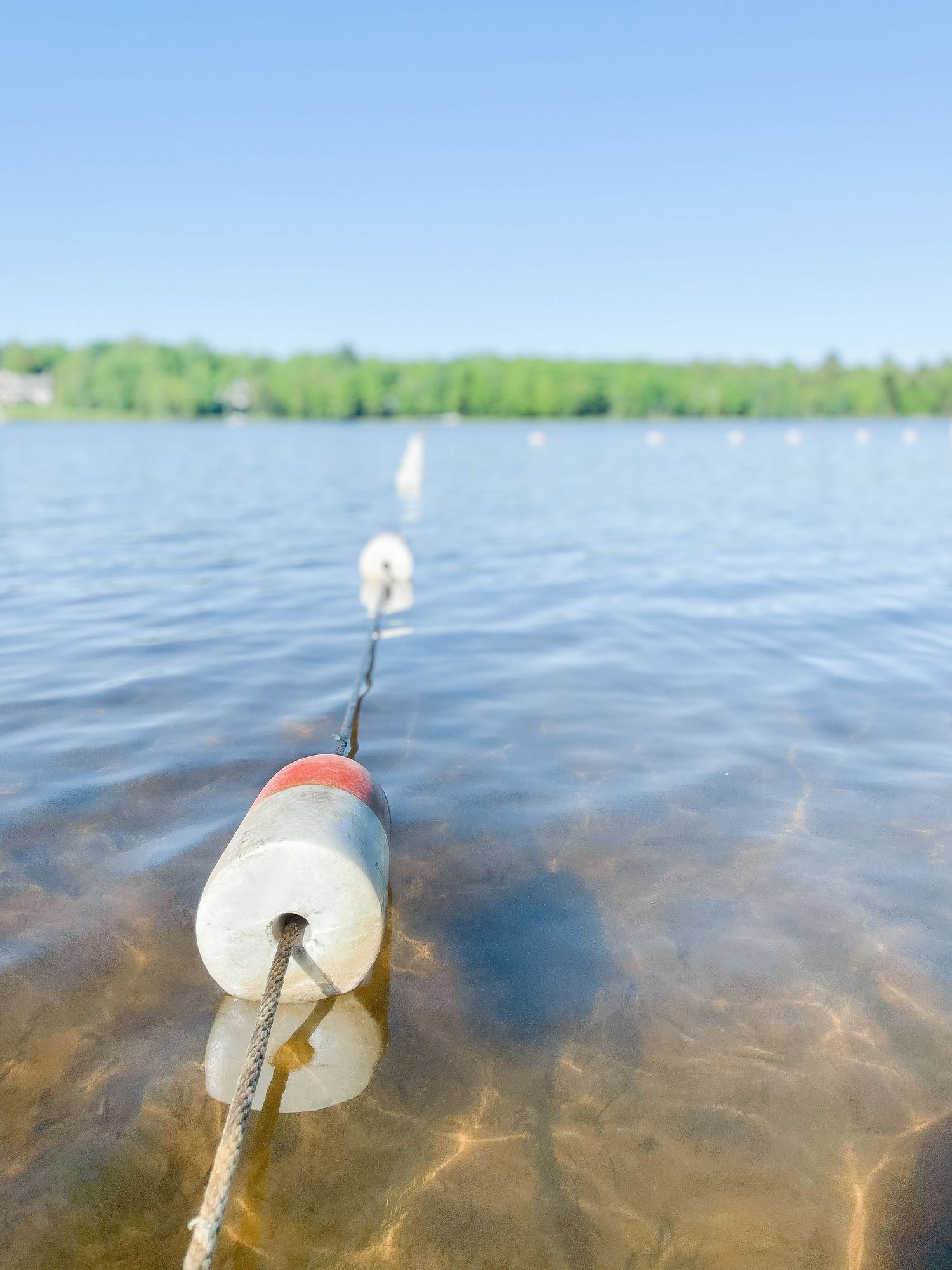 Series of fishing bobbers floating on tranquil lake water with trees and blue sky reflected in the background.