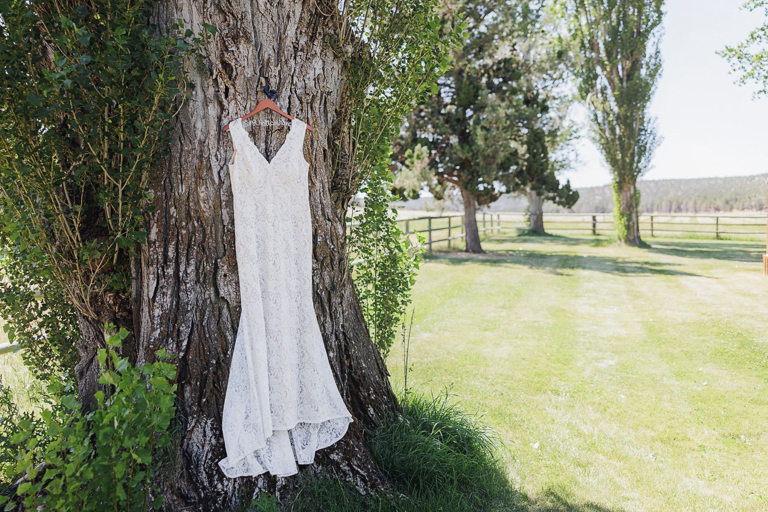 A white wedding dress hangs elegantly from a large tree trunk in a serene rural setting with green grass and distant trees.