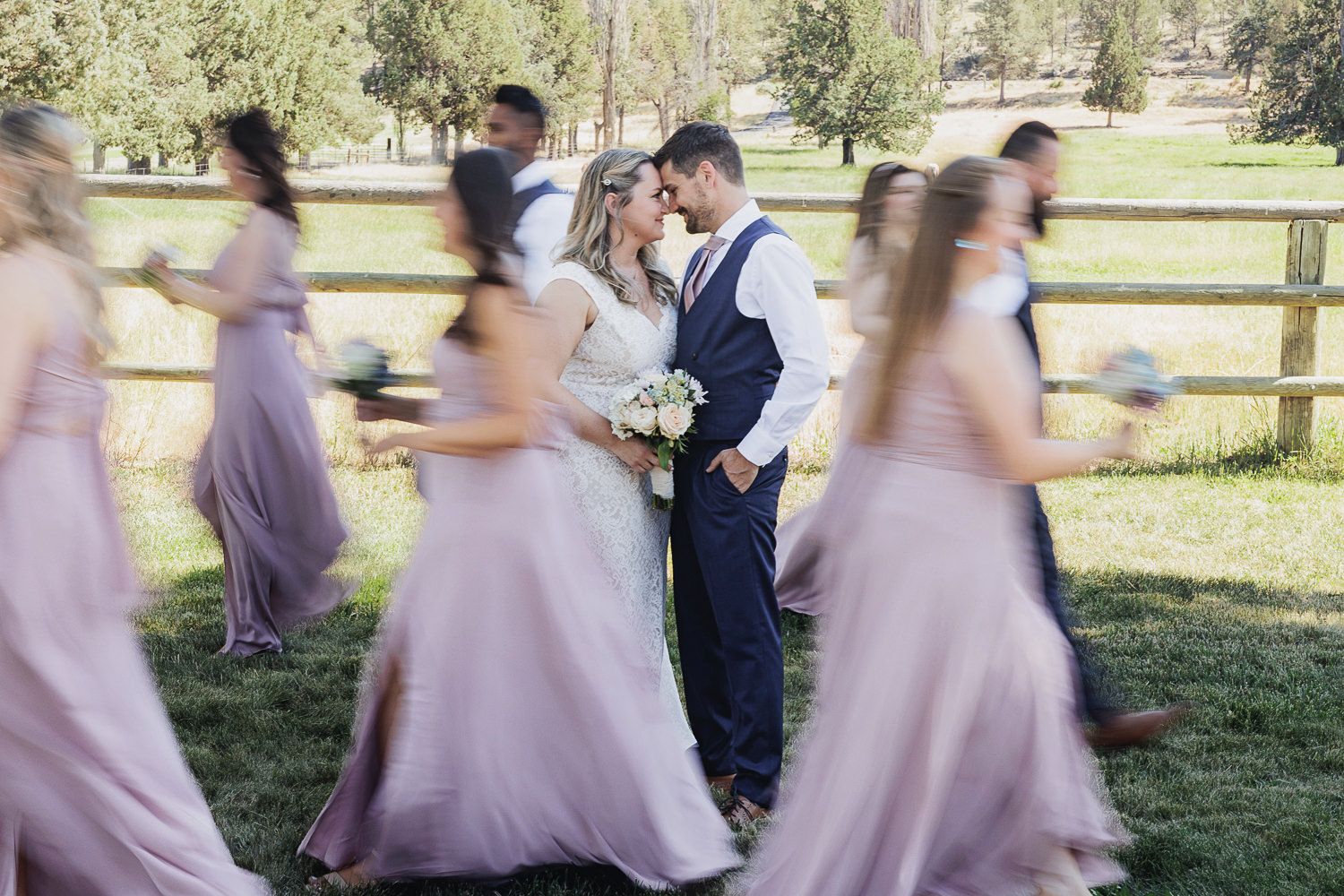 Wedding party in blush pink dresses and dark suits poses in a line on grass near wooden fencing in natural light.