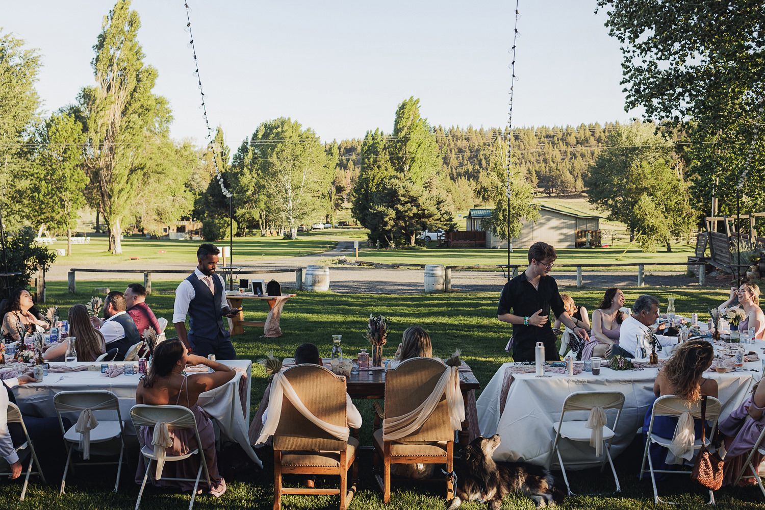Outdoor event setup with white tables, chairs, and string lights in a park setting during golden hour.