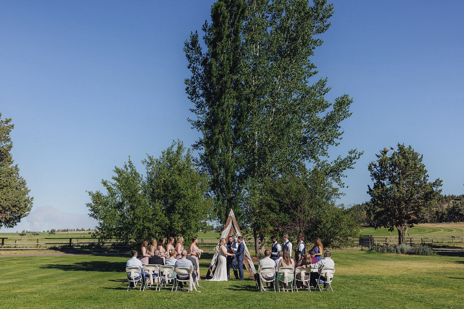 Outdoor wedding ceremony with guests seated on white chairs under tall trees against a clear blue sky.