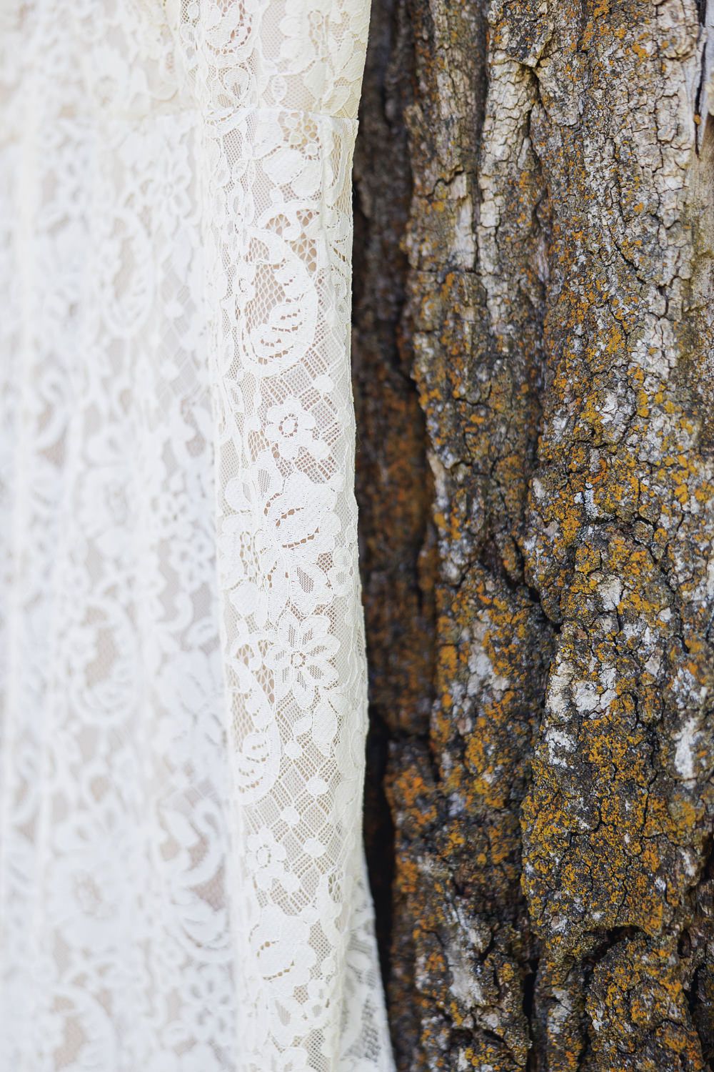 Delicate white lace fabric contrasts against rough brown tree bark with orange lichen growing on its surface.