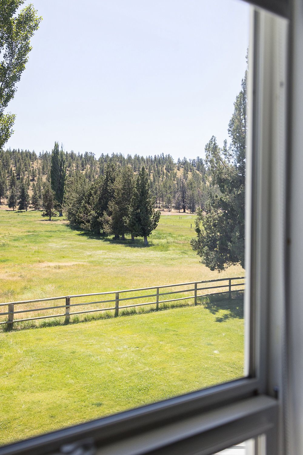 View through a window of a pastoral landscape with green fields, pine trees, and wooden fencing in the distance.