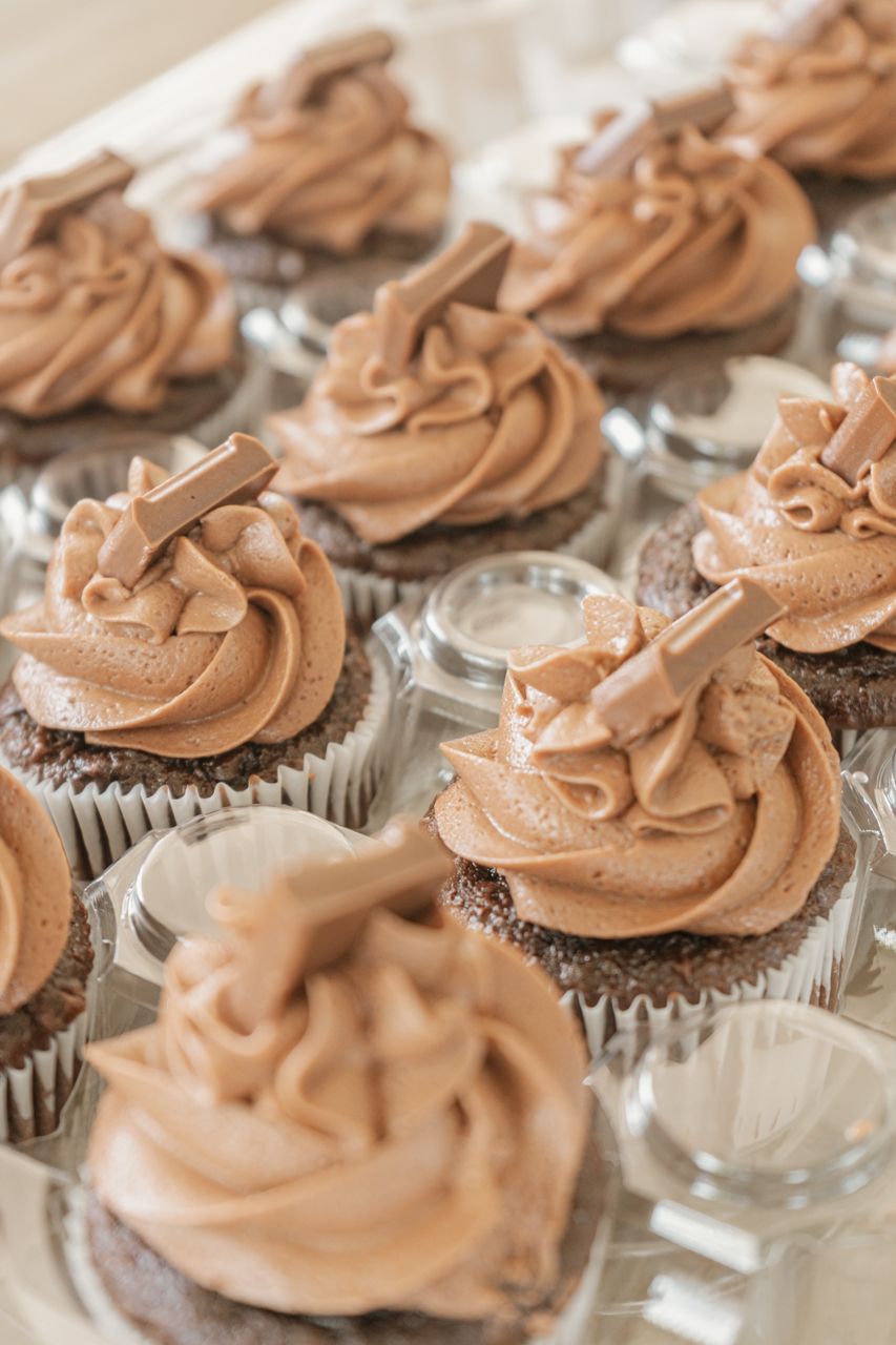 Chocolate cupcakes topped with swirls of rich chocolate frosting arranged in neat rows on a clear display tray.
