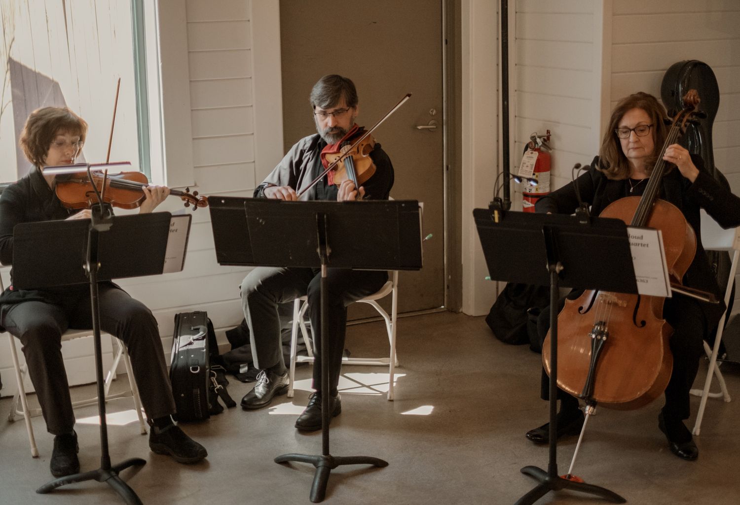 String trio performs classical music with violin and cello at an indoor venue.