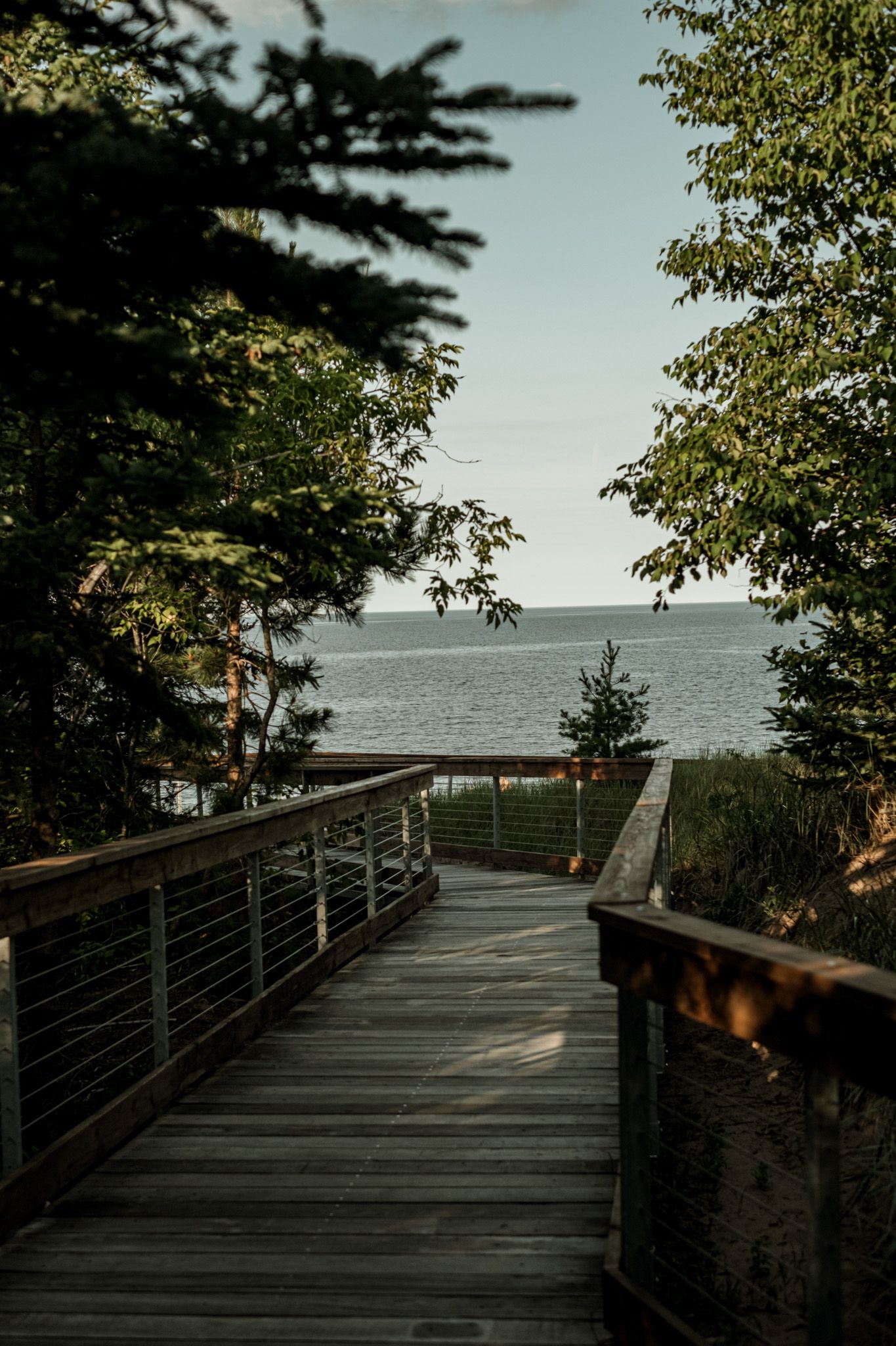 A scenic wooden boardwalk overlooks a calm ocean view framed by green trees at sunset.