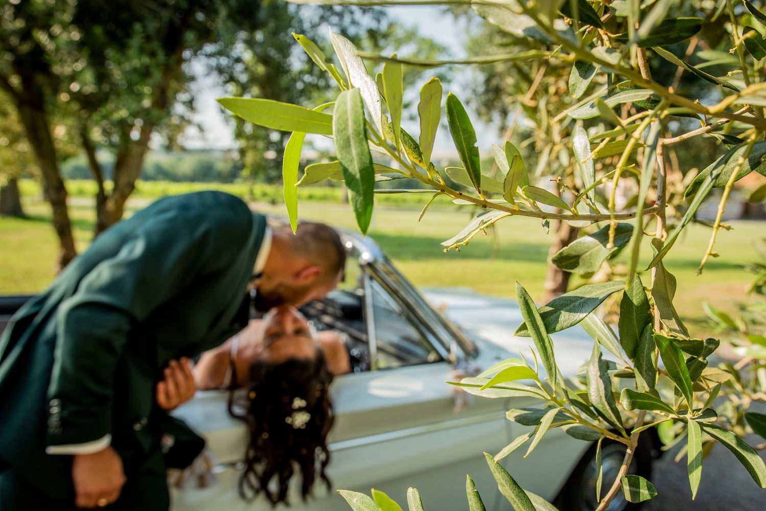 Romantic scene framed by olive tree branches in natural sunlight.