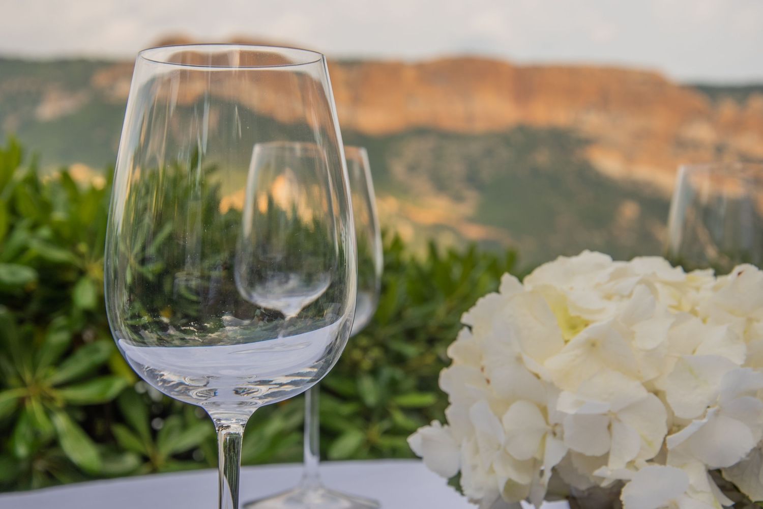 Empty wine glass on table with white hydrangea flower and mountain landscape in background at sunset.