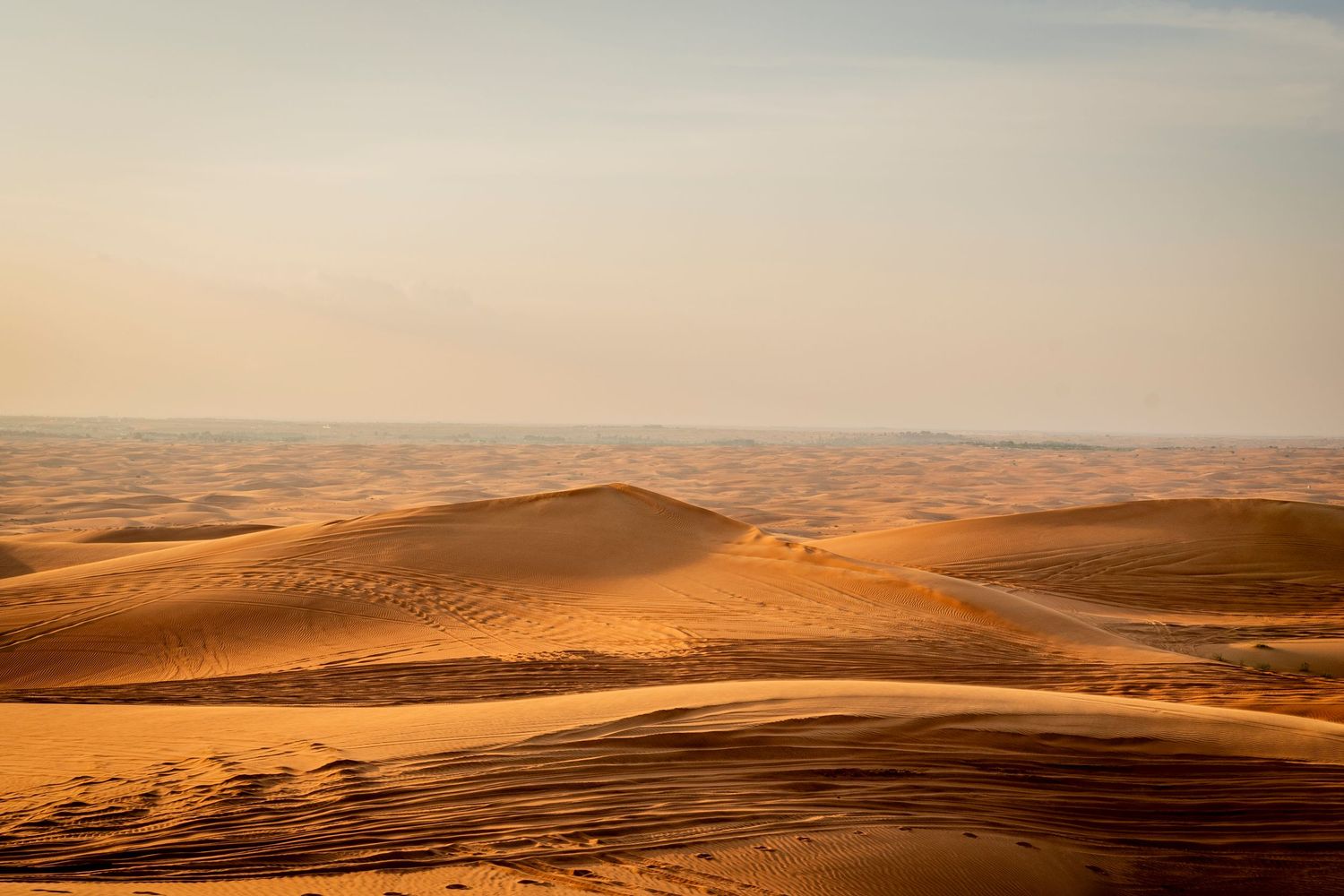 Rolling sand dunes stretch across a vast desert landscape under warm golden sunlight.