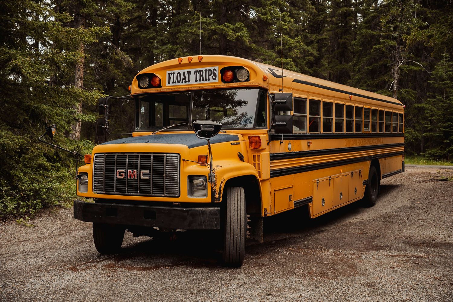A classic yellow GMC school bus parked on a dirt road surrounded by evergreen forest.