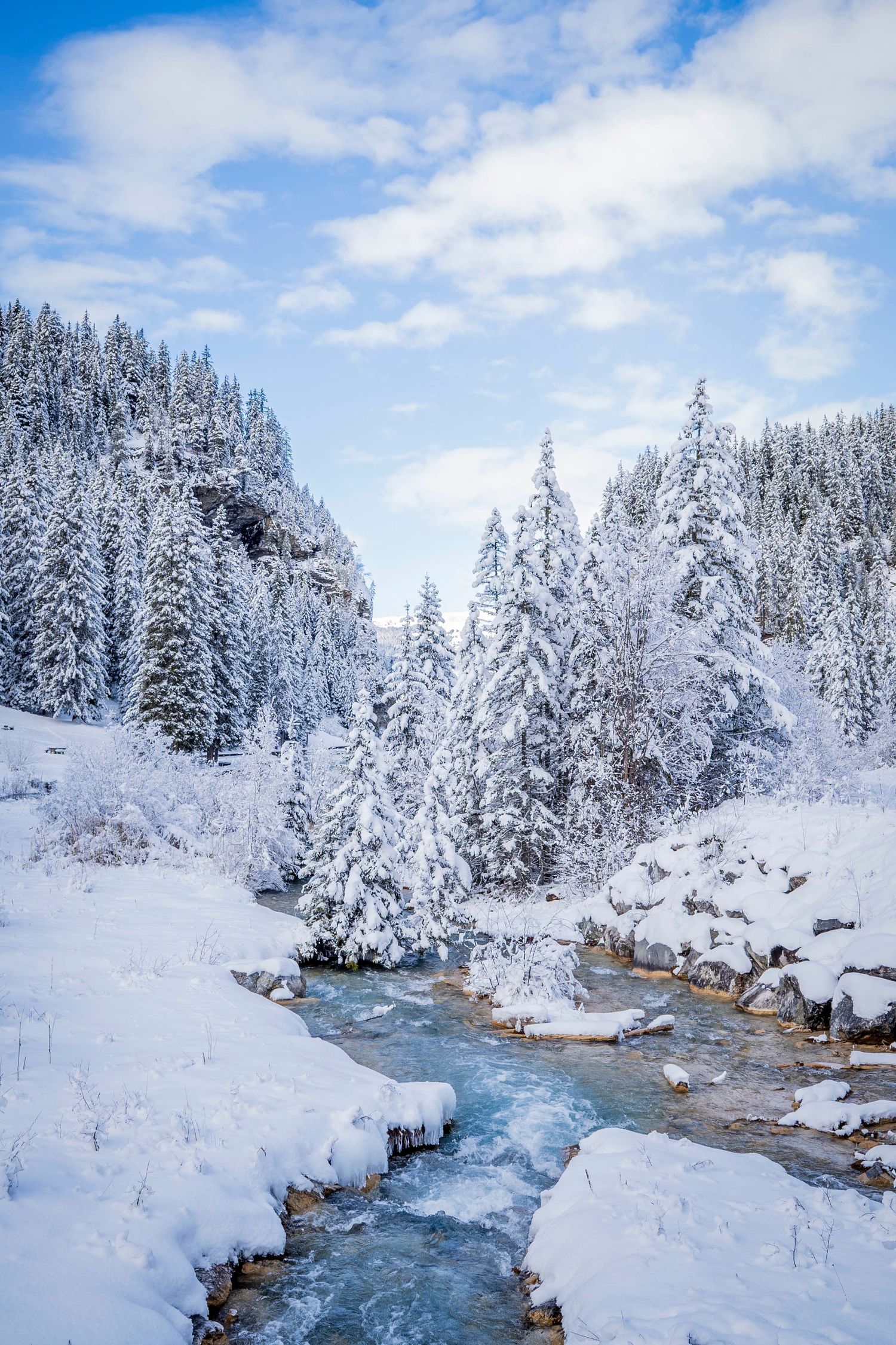 Snowy winter landscape with evergreen trees and winding blue river through snow-covered banks under cloudy sky.