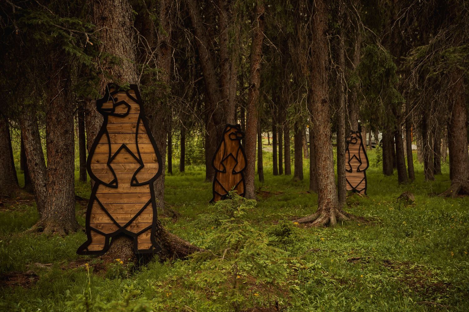 Seven photos taken in a dark forest show trees with carved faces and symbols on their trunks, creating an eerie atmosphere.